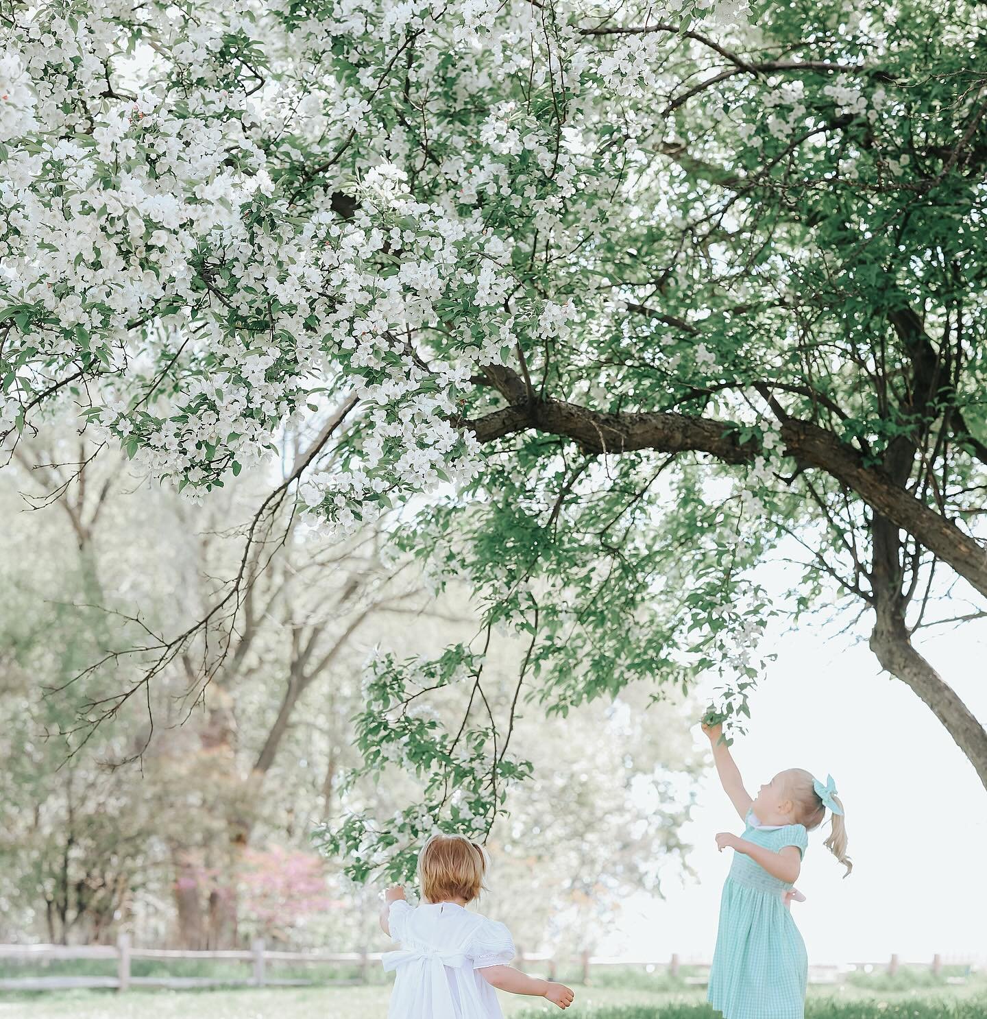 just throwing a spring aesthetic on the grid 🌸
