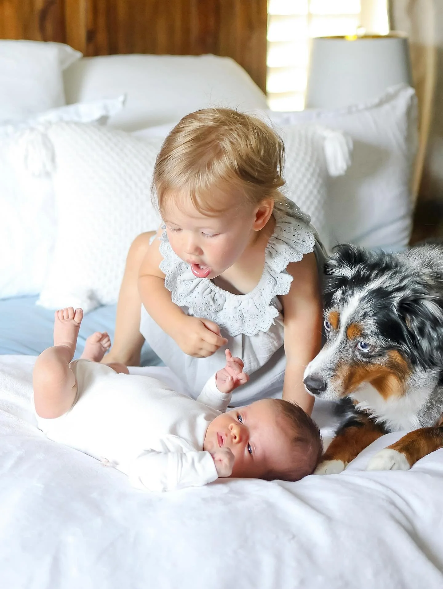 just a casual game of &lsquo;hide the puff under your baby brother to fake interest while also getting the dog looking excited to be there as well&rsquo; 🤍