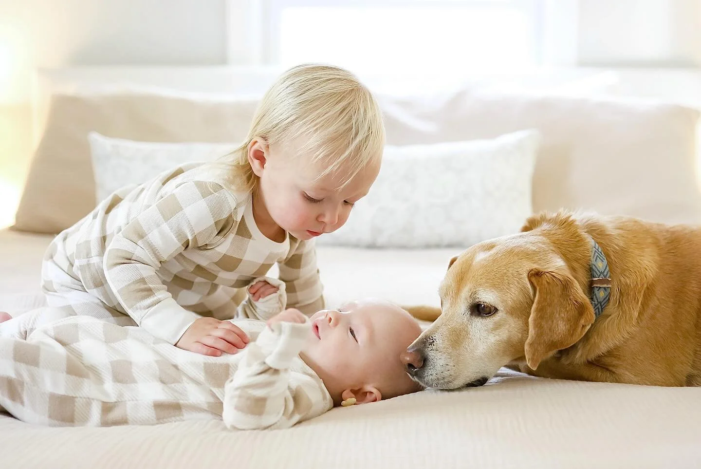 sweetest moments ever sponsored by puffs 🔍