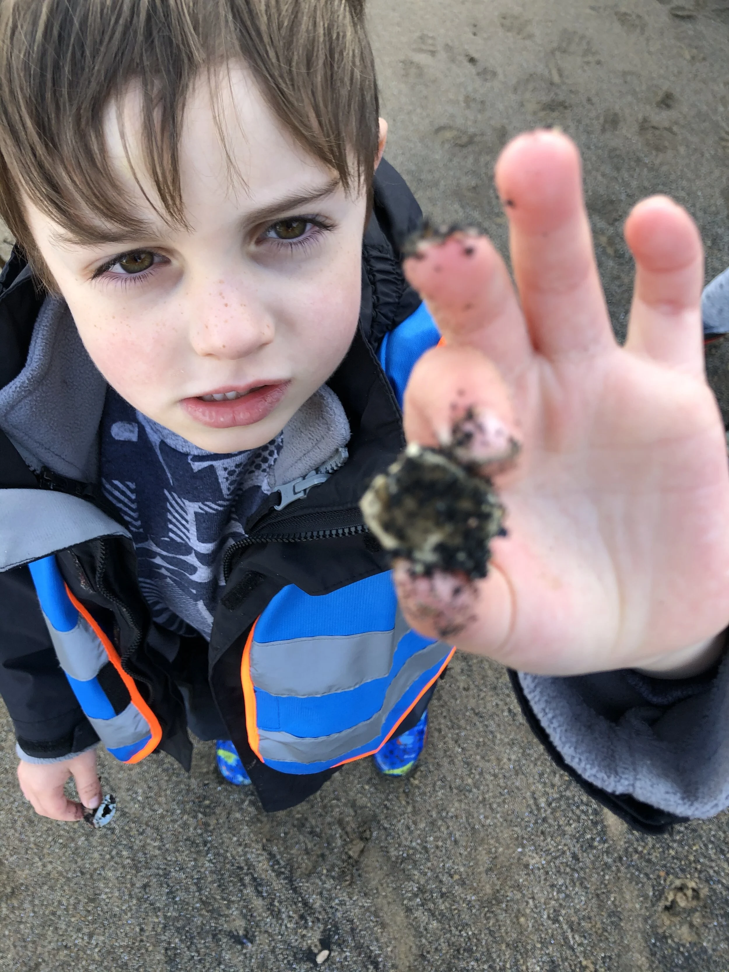 F6A8296D-811F-4D88-9A13-FDE33B255D20