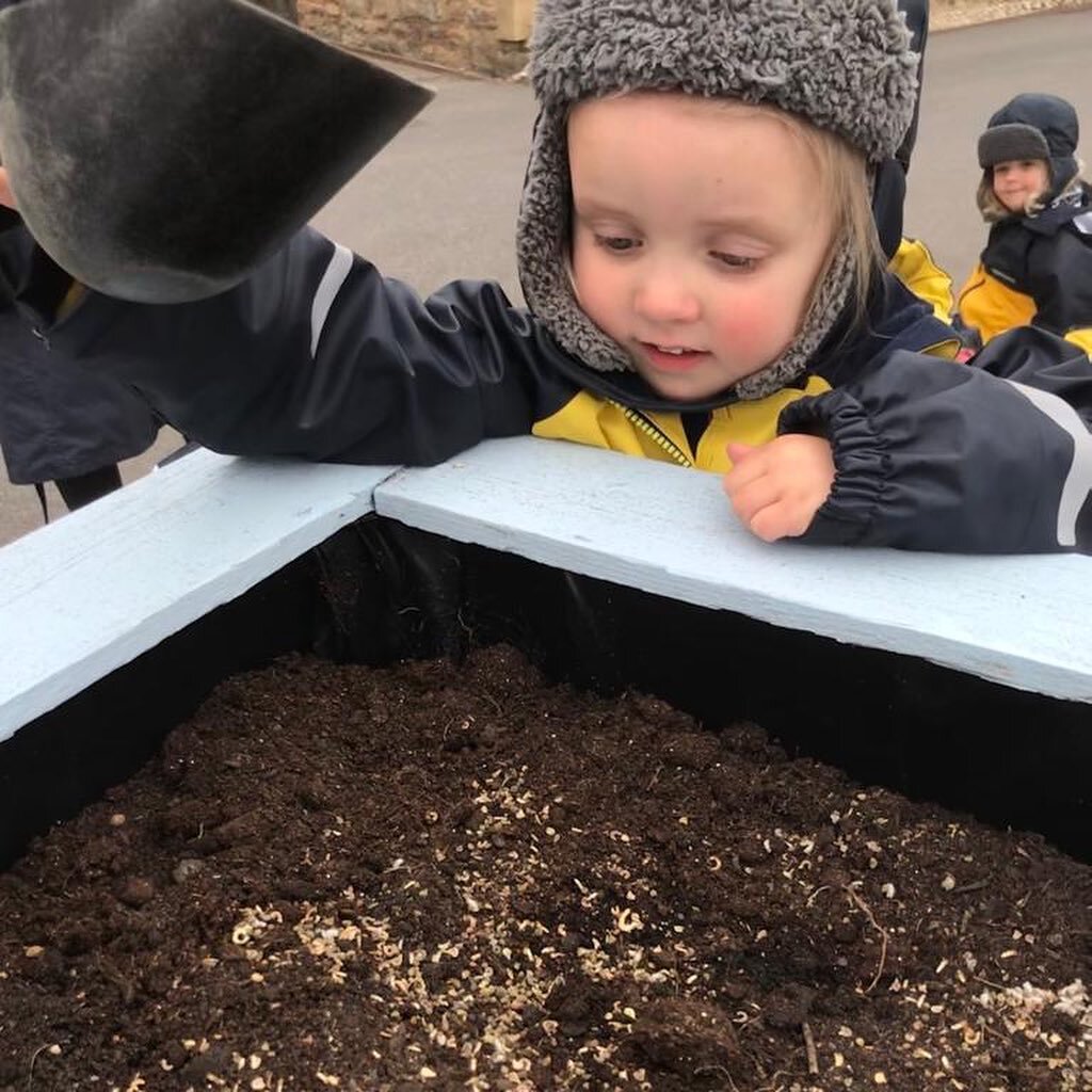 You can thank our beach schoolers for the beautiful wildflower blooms that you see around Seaham Marina this Summer; the bees and butterflies will no doubt thank us too! 🐝 🦋 #beachschool #seahammarina #naturebasedlearning #outdooreducation #earlyle