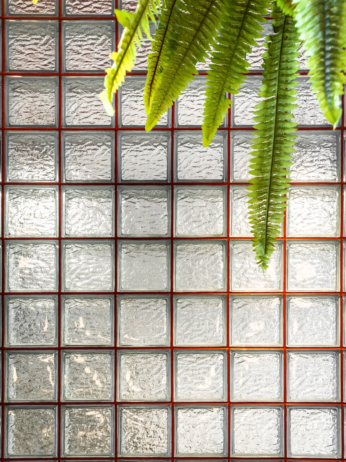 Ground Up_KYM Cafe_lowres-16.JPG