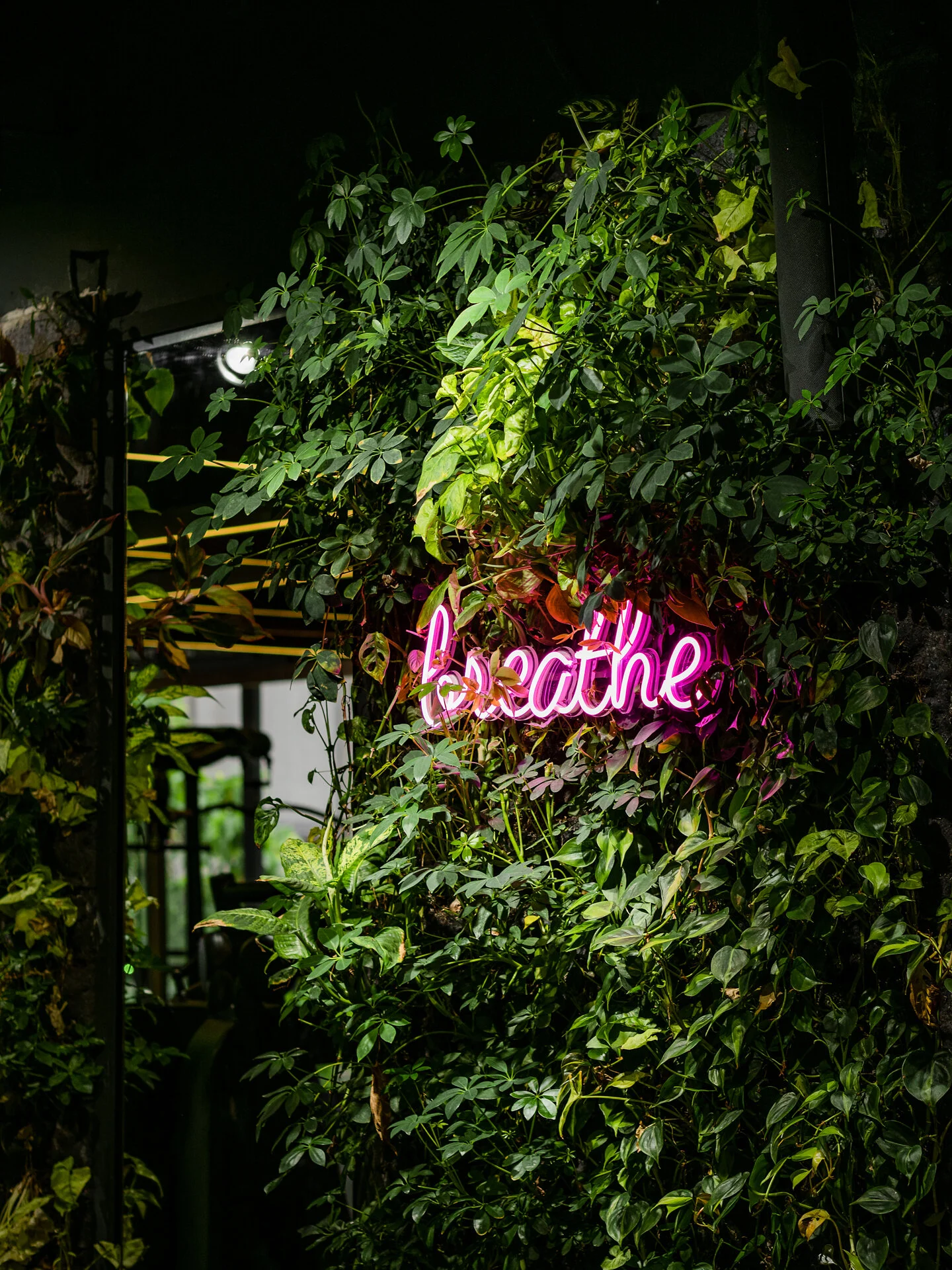 Genius Loci_Babel Fit KLCC_lowres-72.jpg