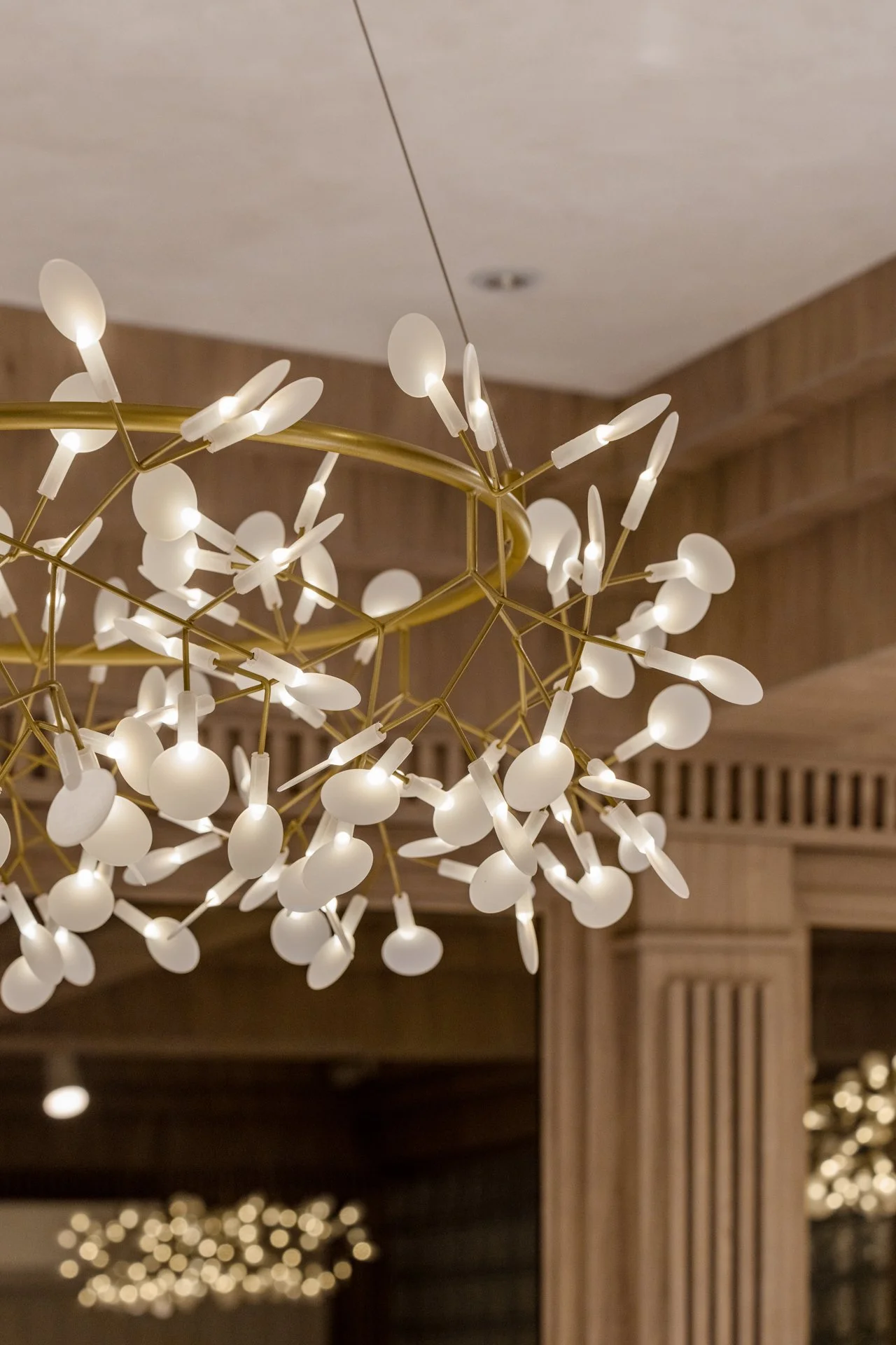 NM_Cassis TTDI_lowres-18.jpg