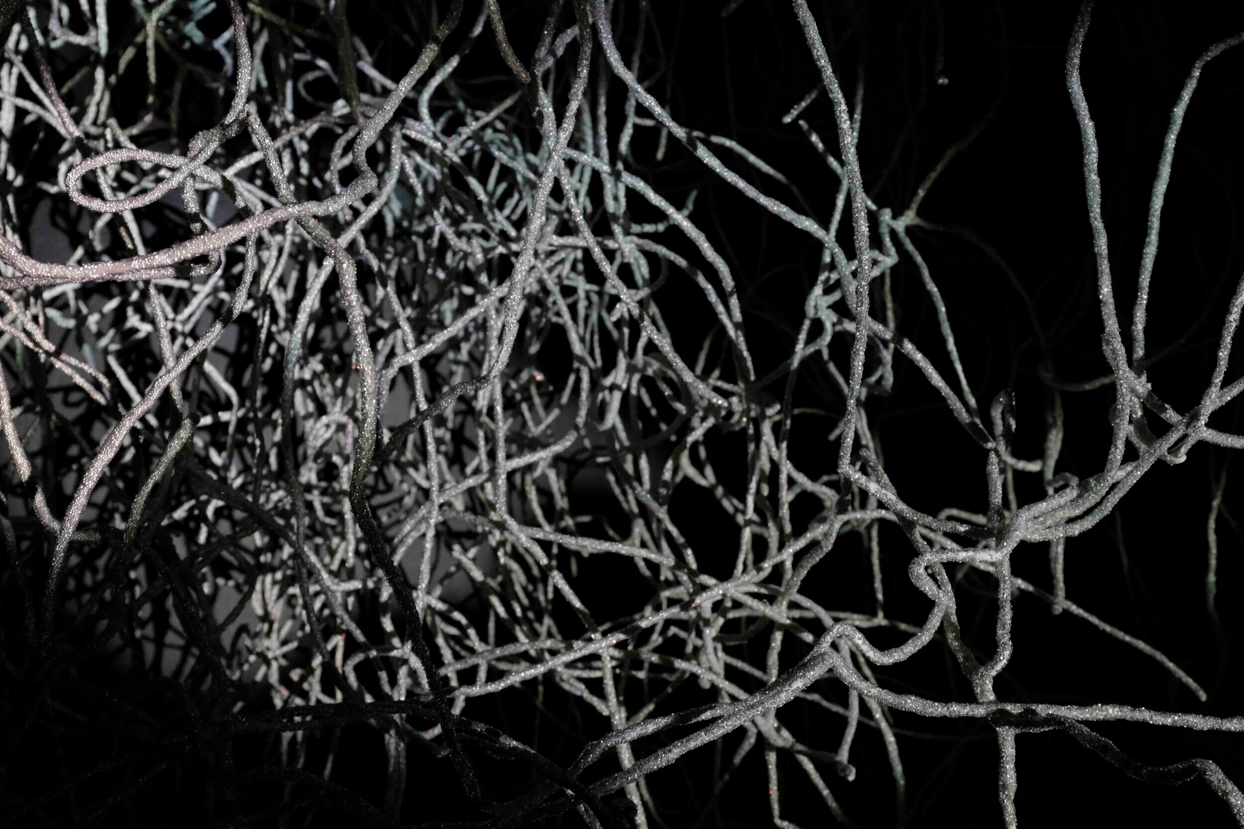 Between Now and Now: Mary Smull on Jessica Jane Julius