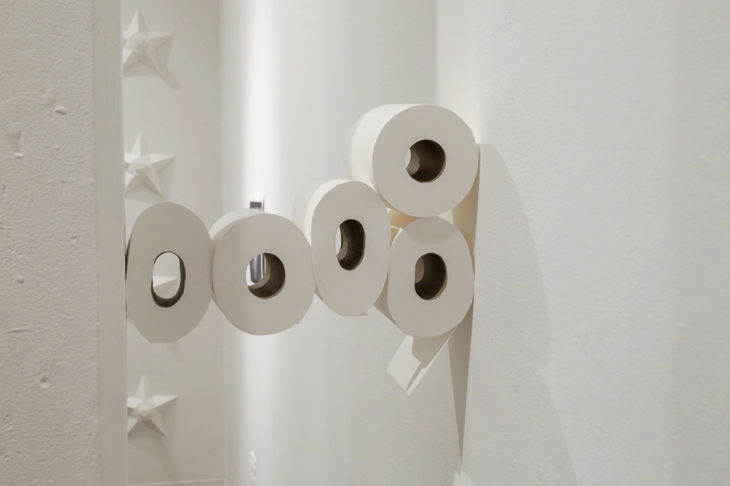 A Sculpture for the Bathroom (Toilet paper for Grizzly Grizzly)  Blind embossment and perforation paper, 2019