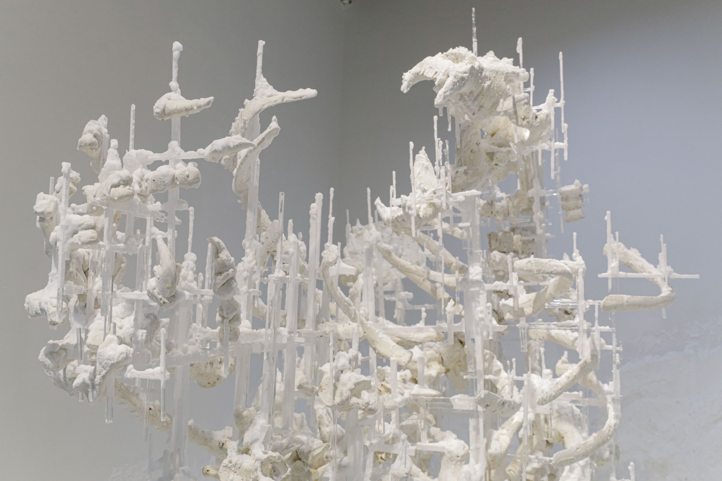 An Uninhabitable Space: the Art of Jonathan Latiano Written by Angela McQuillan