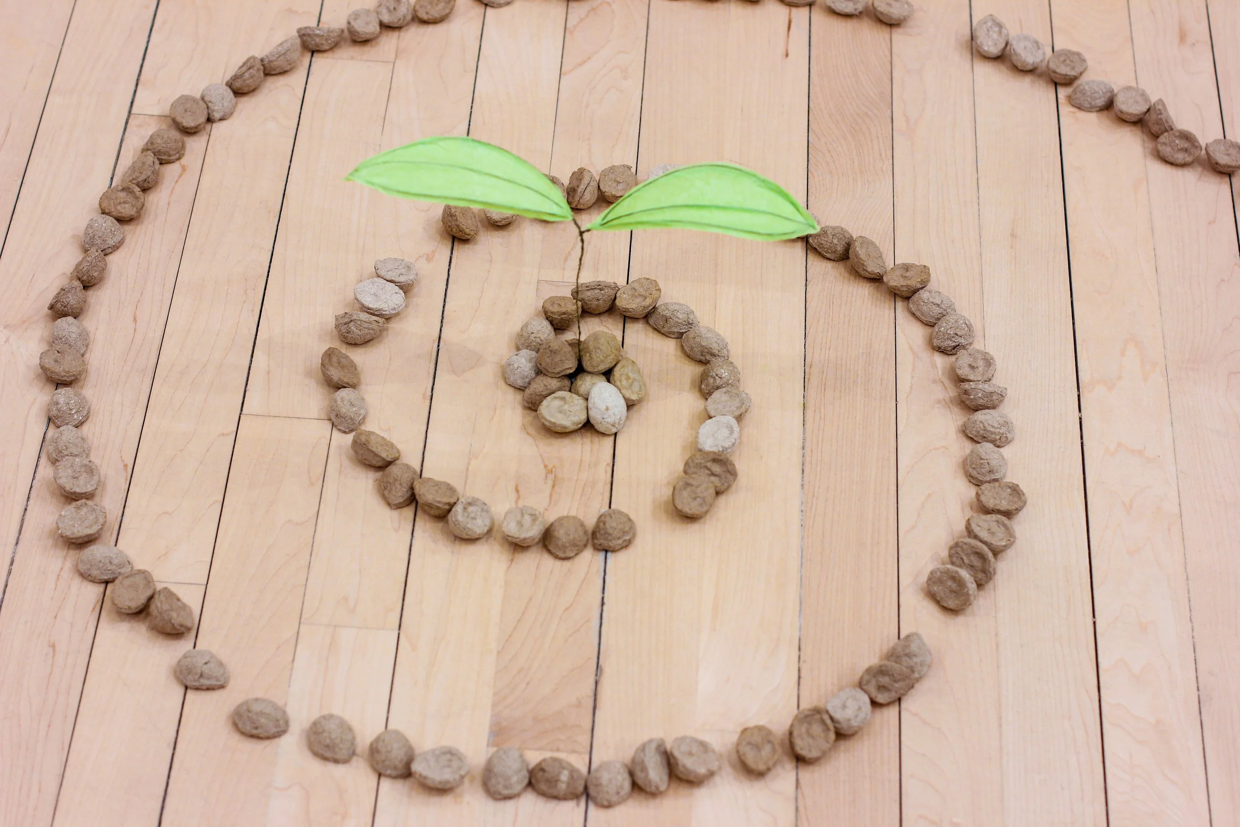 Ally Messer and Erin Mallea