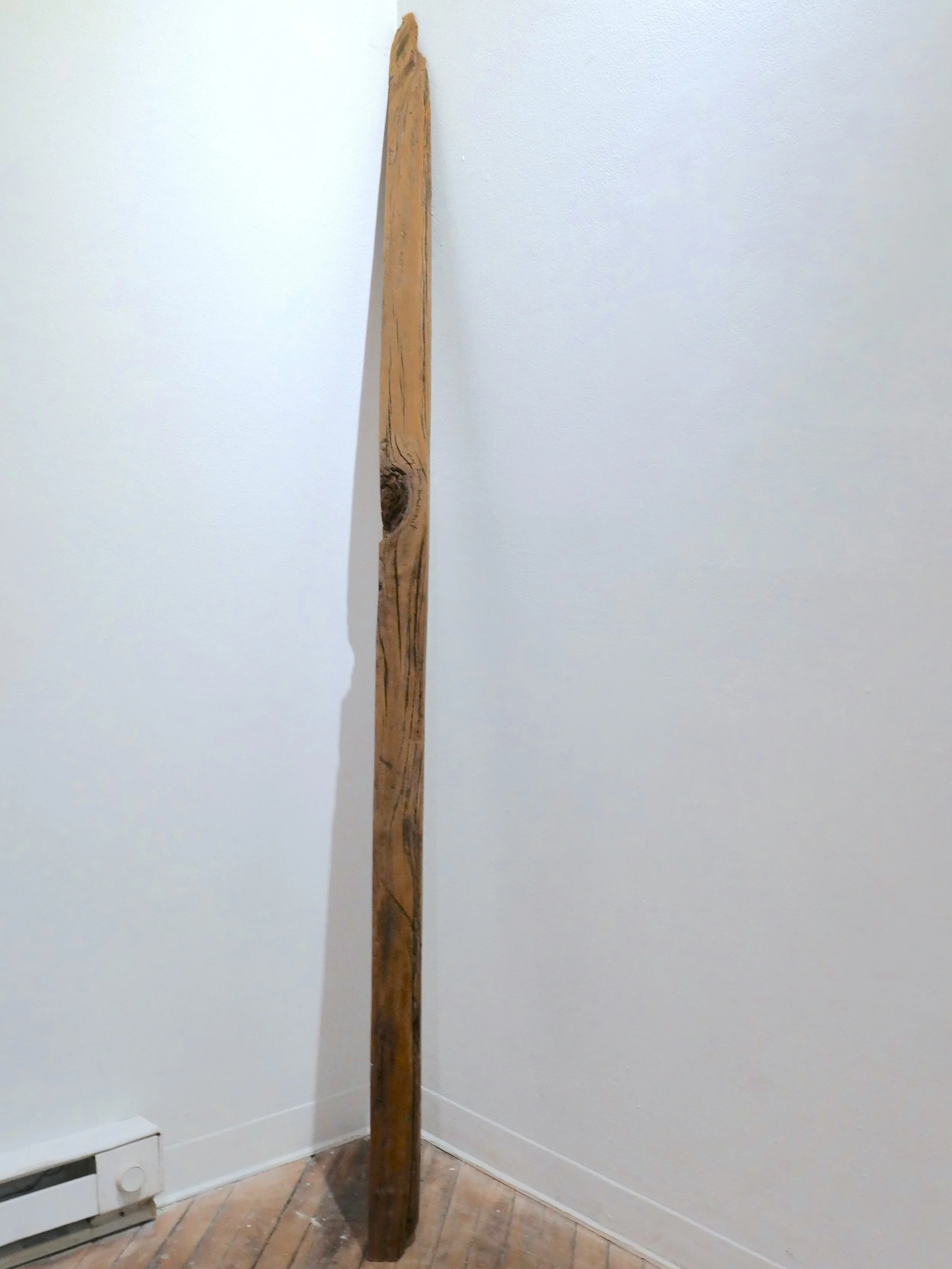 L1001011.JPG