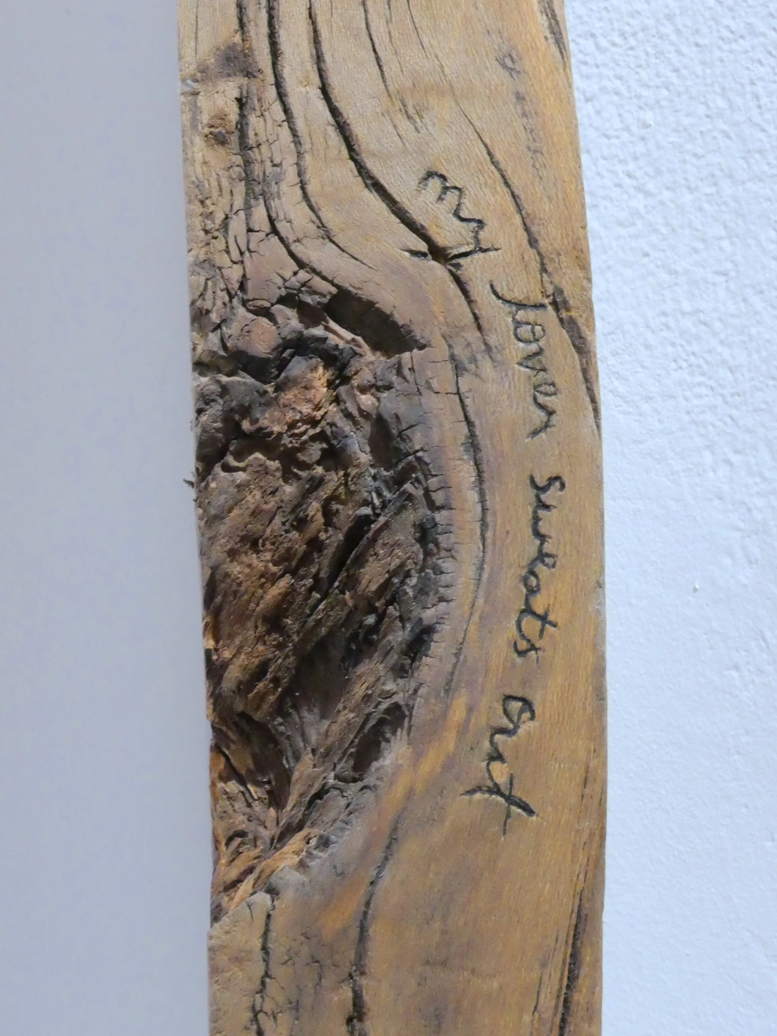 L1001016.JPG
