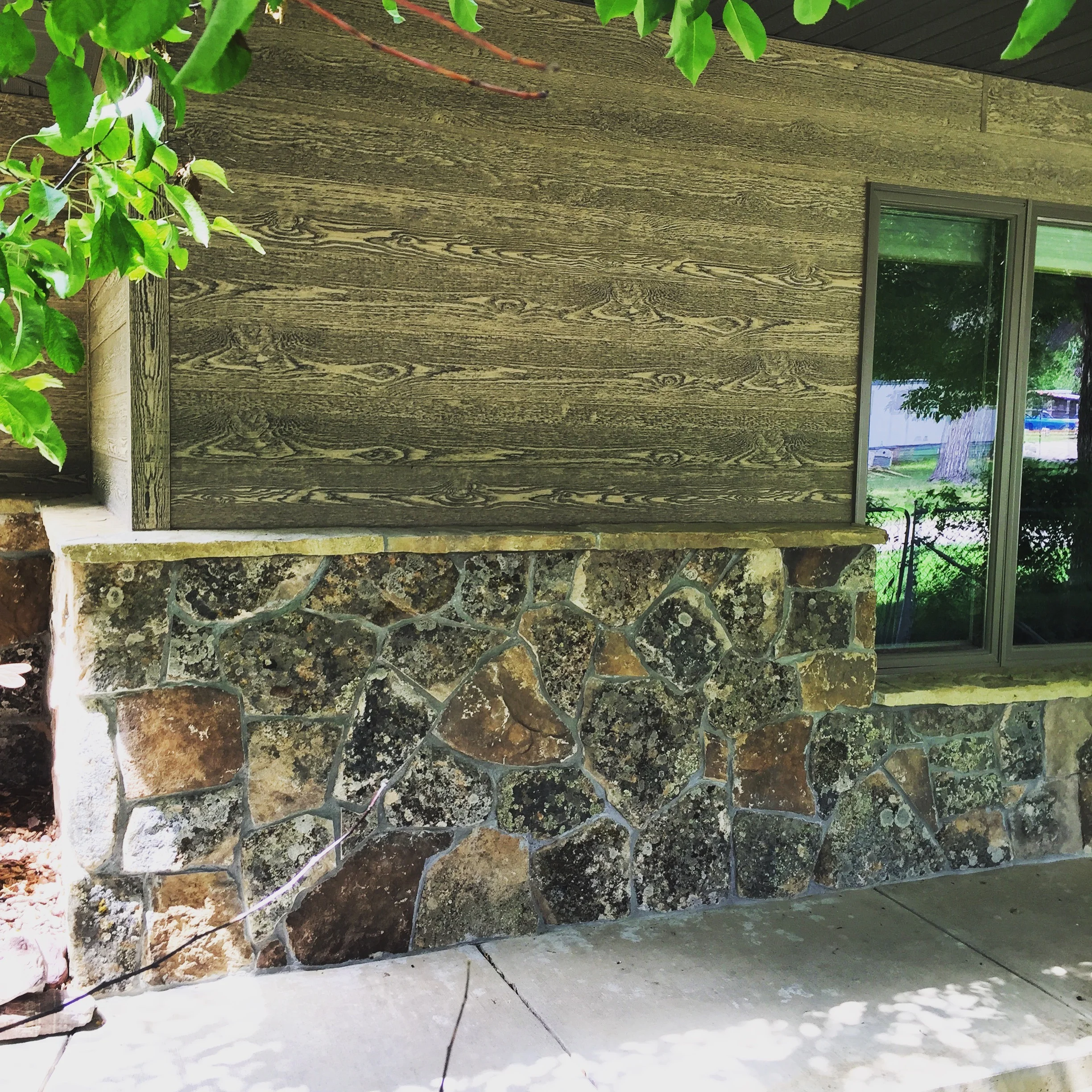 Copy of NativePaintbrush2.JPG