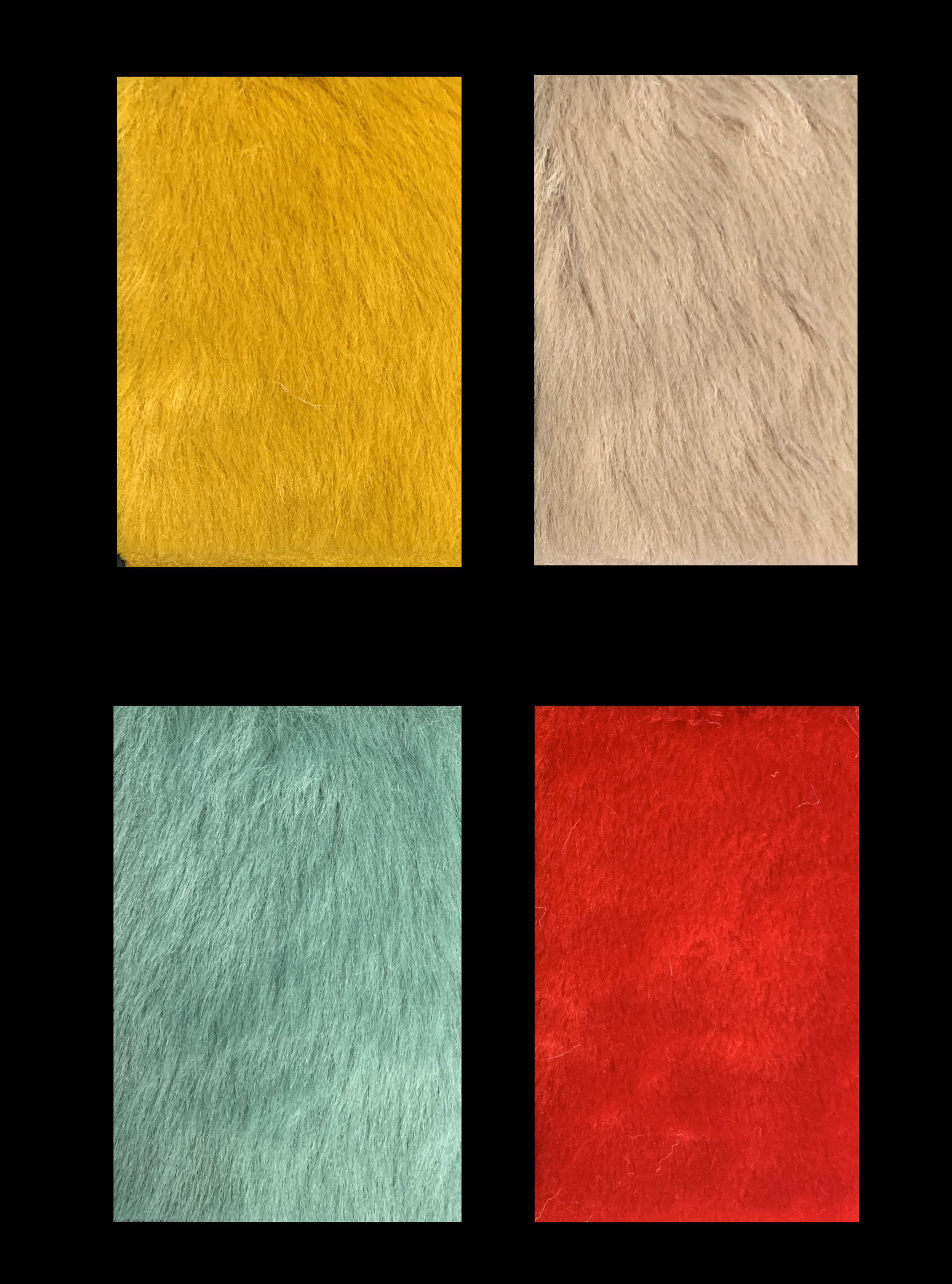 IMG_1262.png