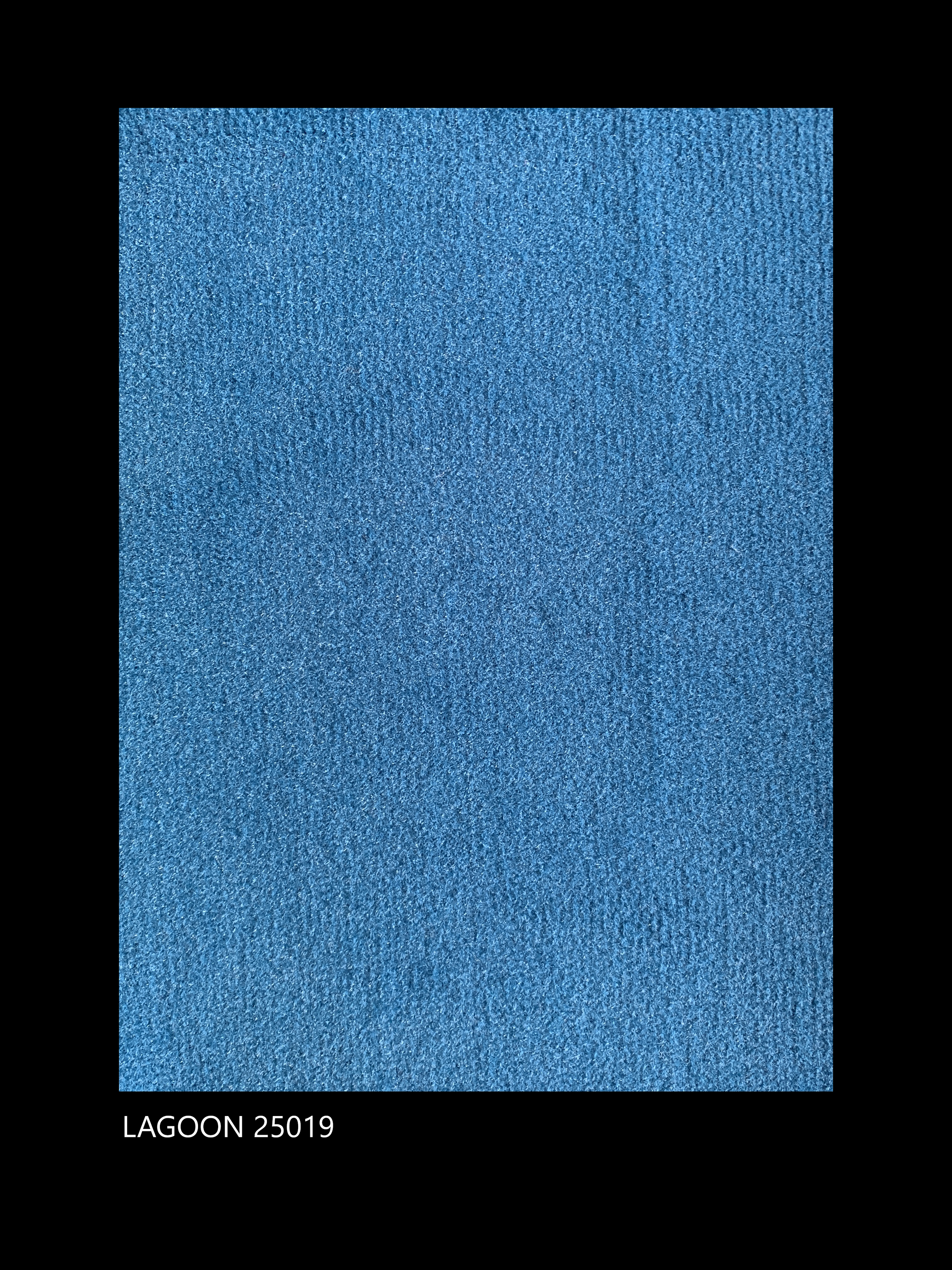 IMG_2566.png