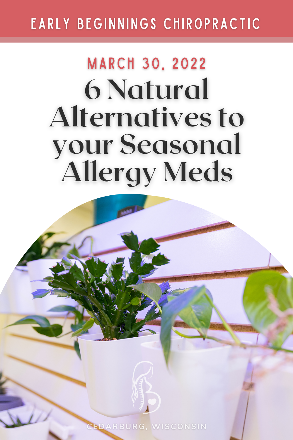 6 NATURAL ALTERNATIVES TO YOUR SEASONAL ALLERGY MEDS