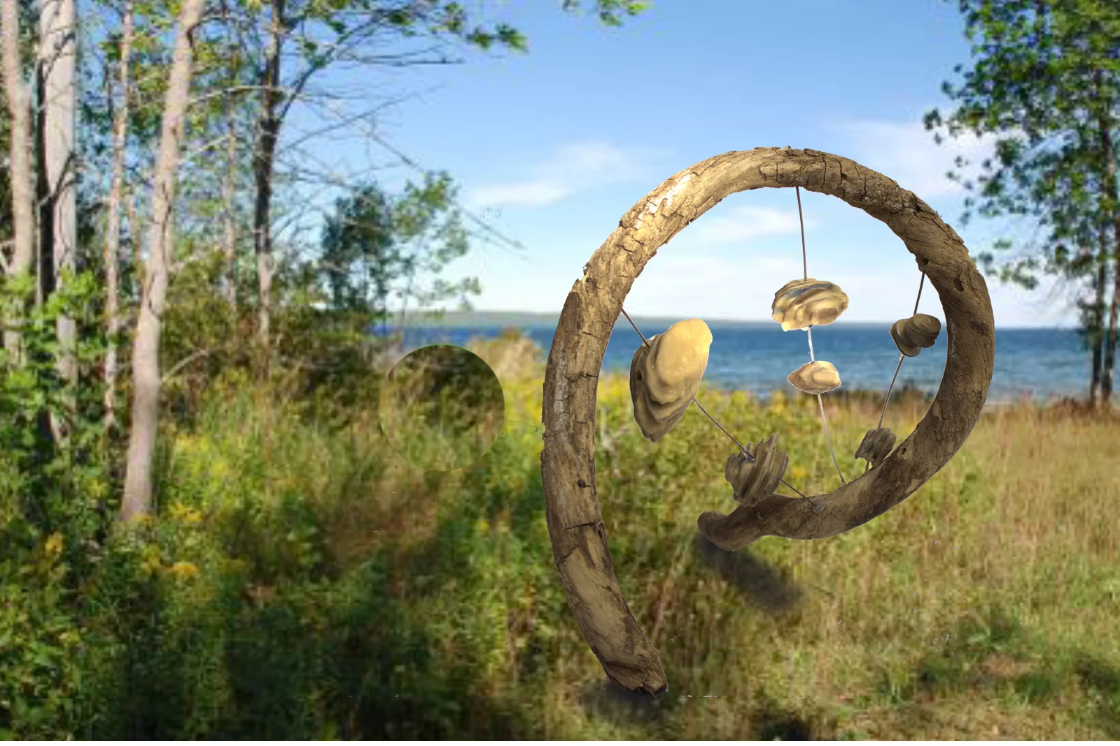 Loops+and+Nests.jpg