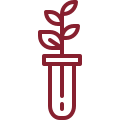 leaf.png