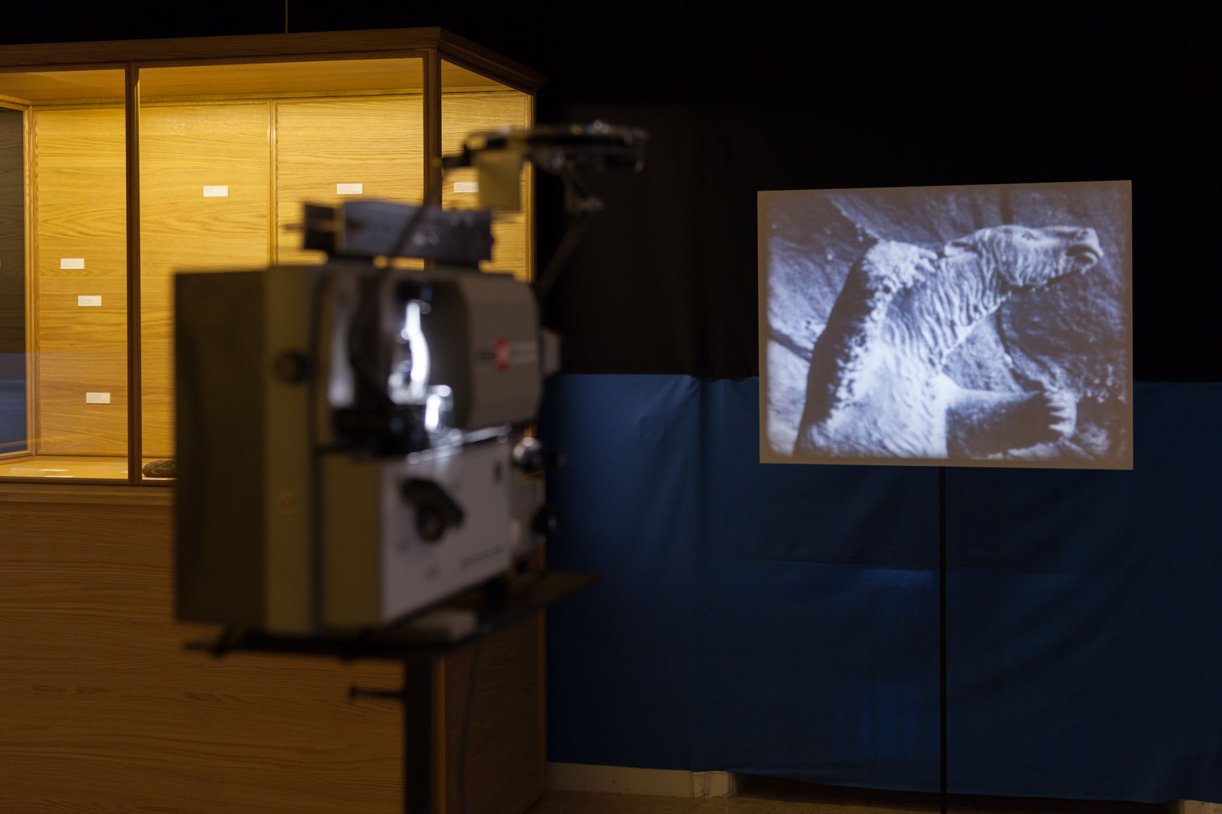 “The work consistently points at what is not present: the layers of the story that reveal themselves indirectly and the documentation that connects the installation to so many other narratives. The most important story might be the one about science