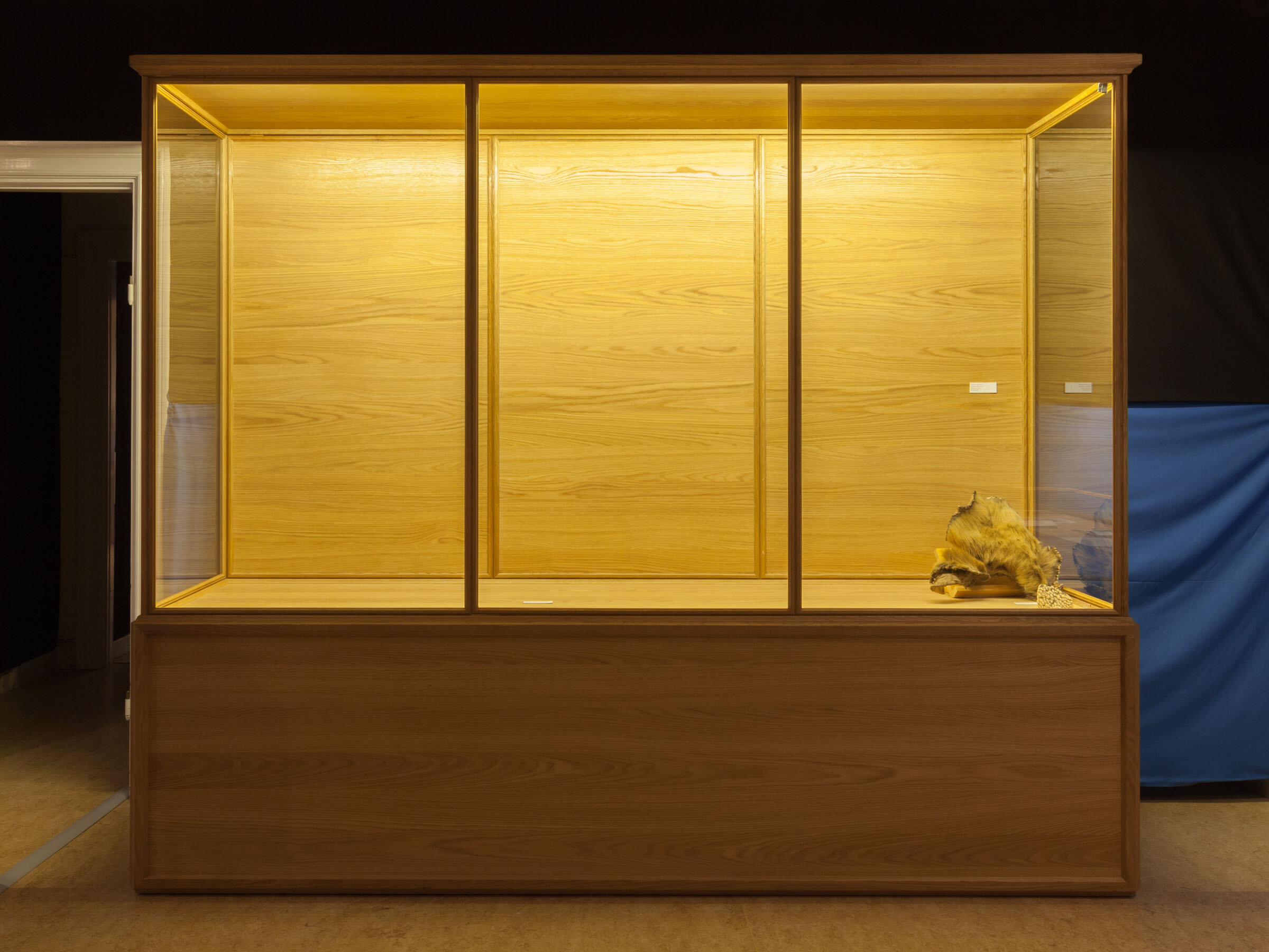 Neomylodon Listai Ameghino @ Evolutionsmuseet - 93 FLAT.jpg