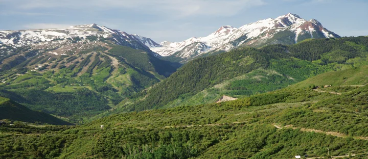 Contact Leverich Carr Real Estate