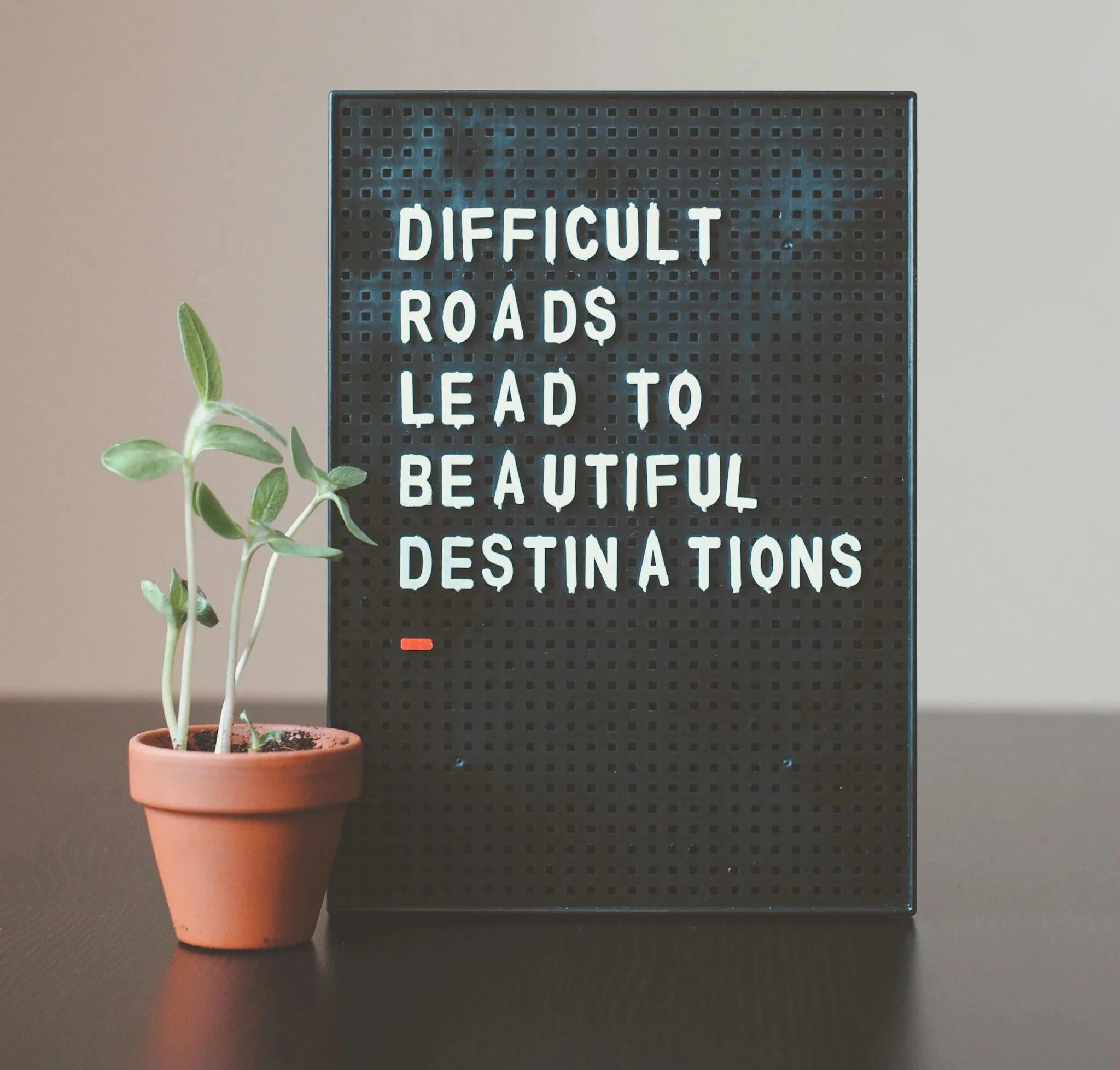 Fear Shows Up Where You’re Meant to Grow