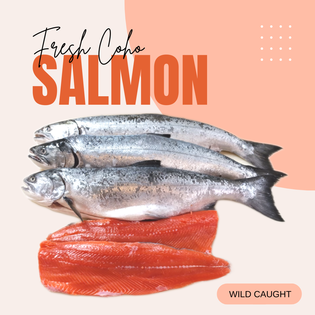 Coho Salmon