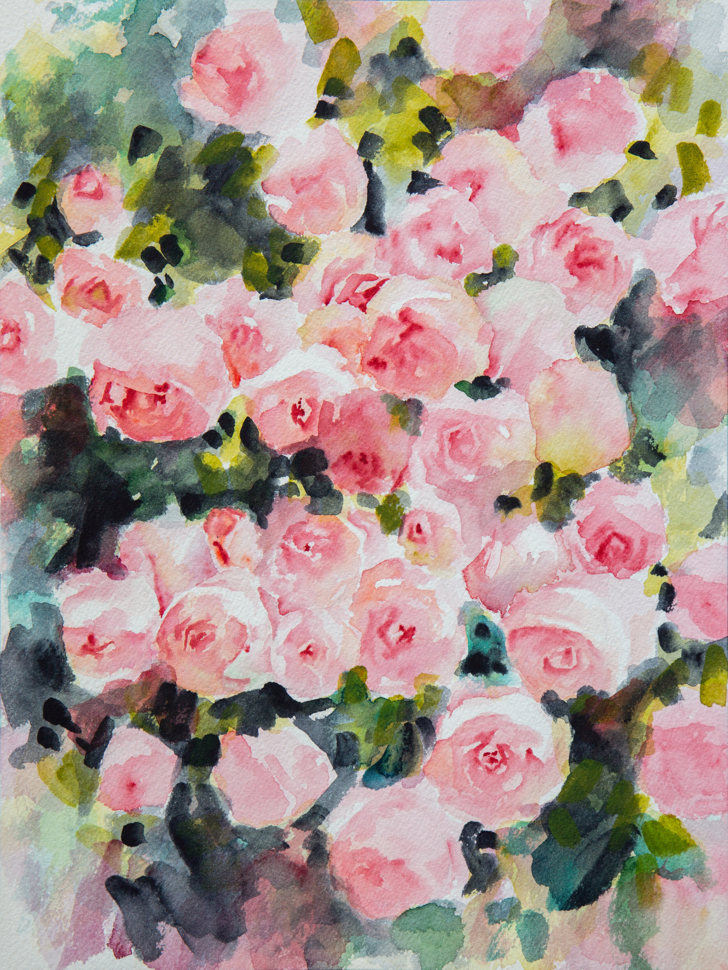 Rosebush-2.jpg