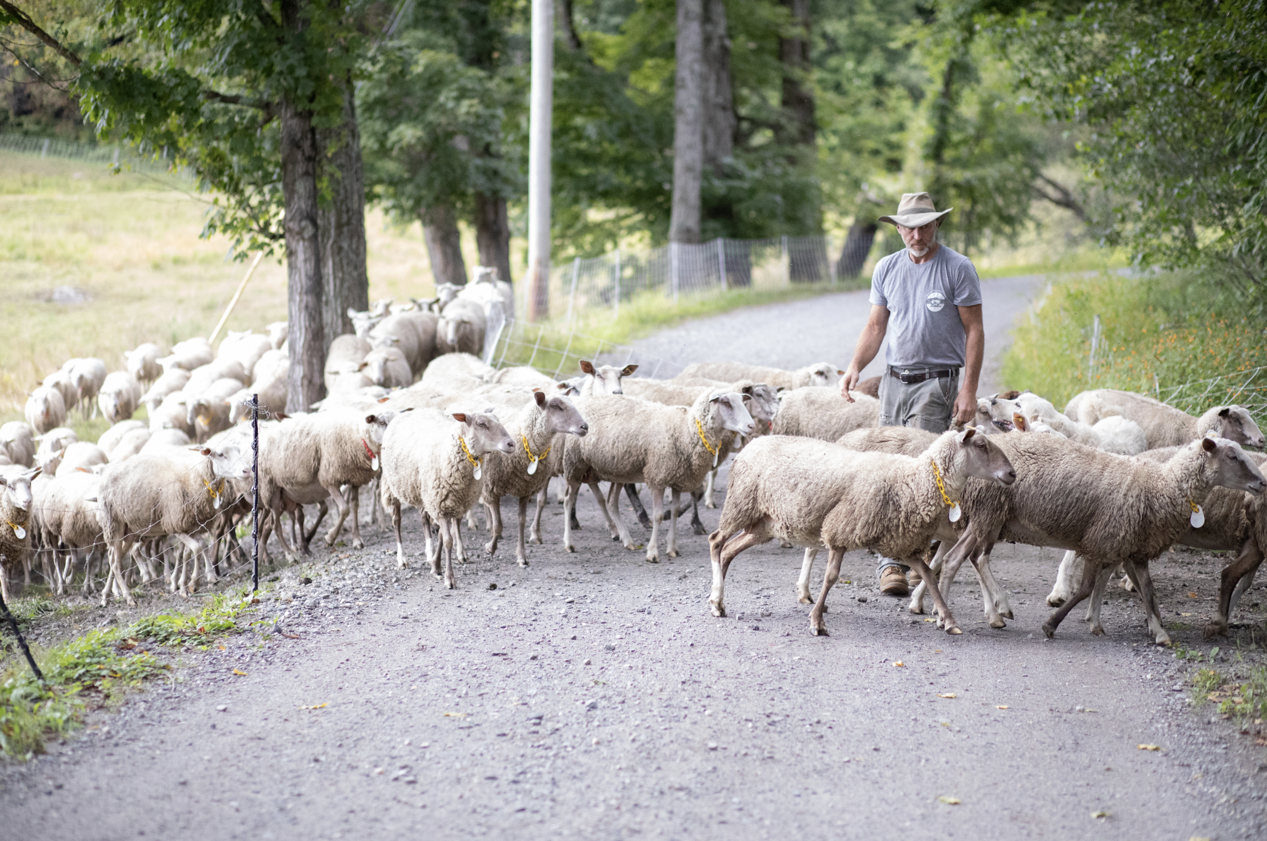 Screen Shot 2022-02-28 at 12.53.29 PM.png