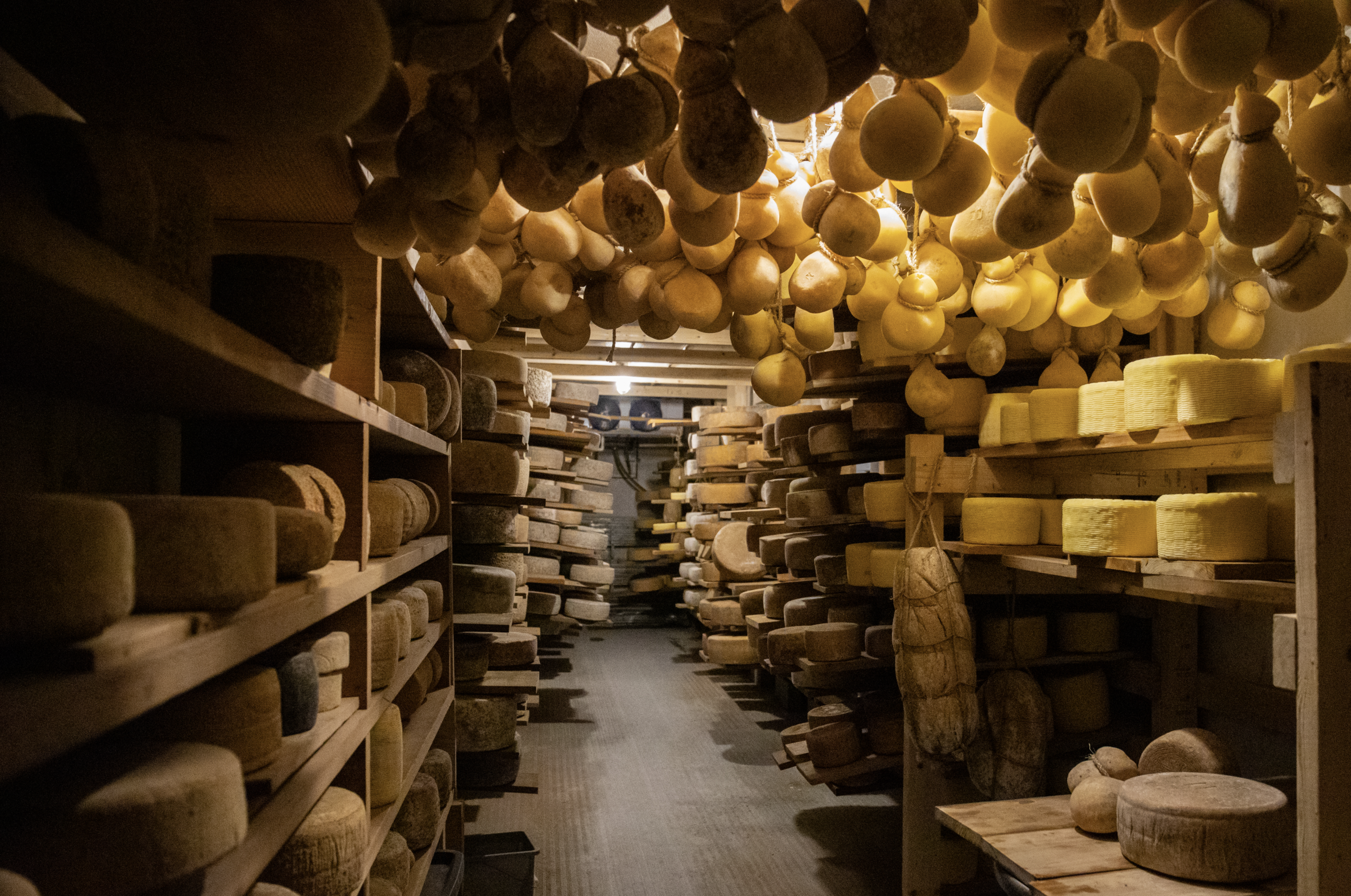 Screen Shot 2022-02-28 at 12.53.42 PM.png