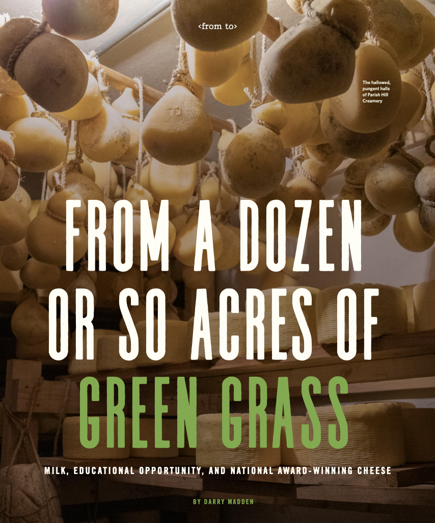 Screen Shot 2023-09-13 at 11.00.38 AM.png