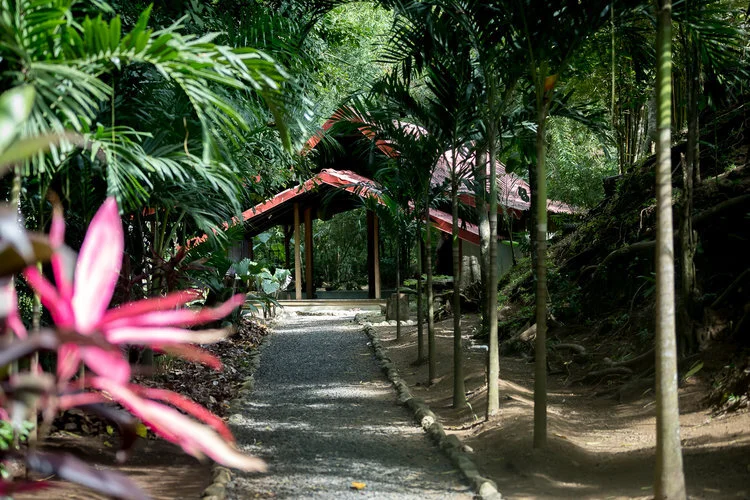 CANCELLED: Adventure + Wellness in Costa Rica