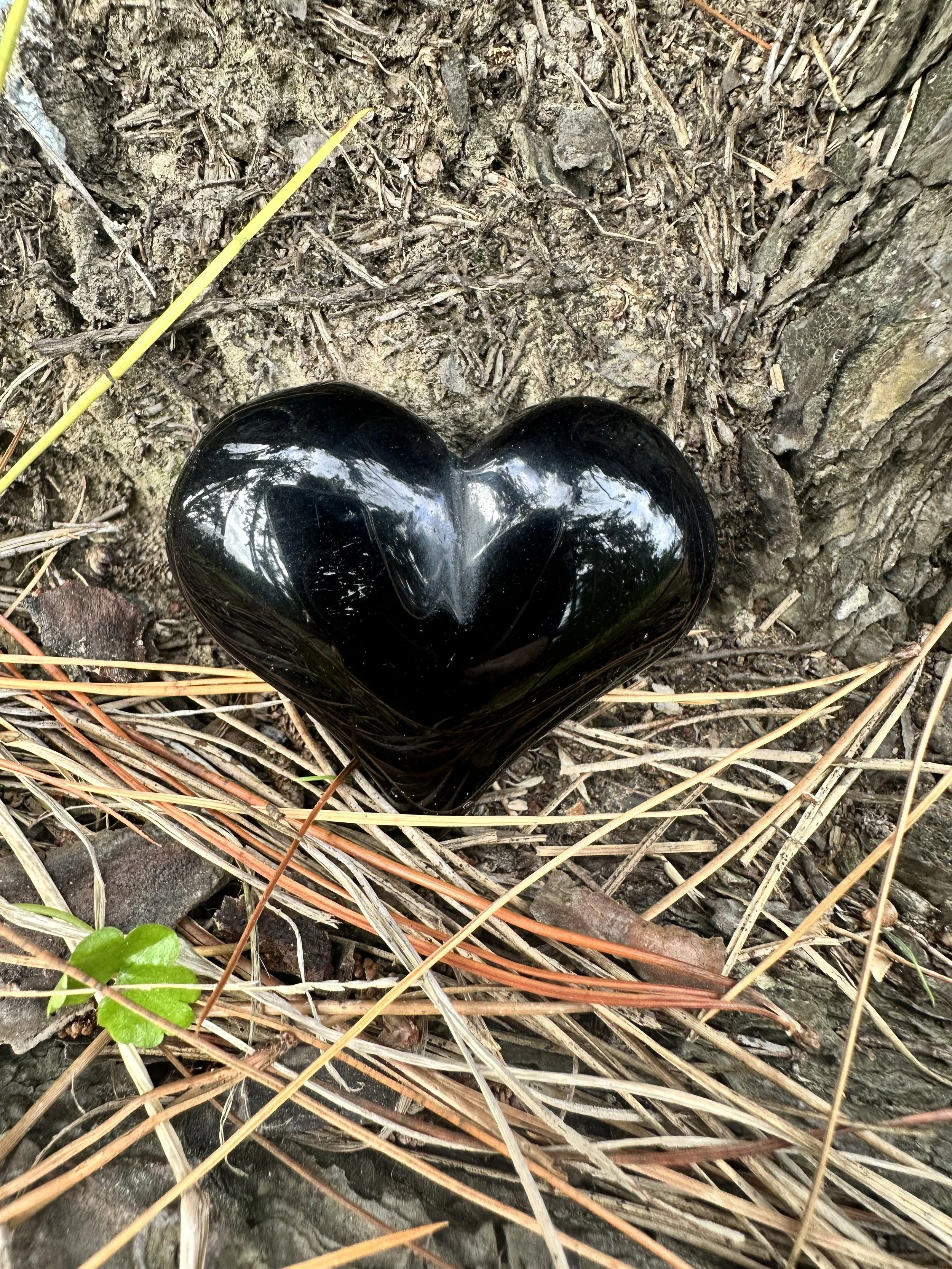 Black Obsidian - Heart