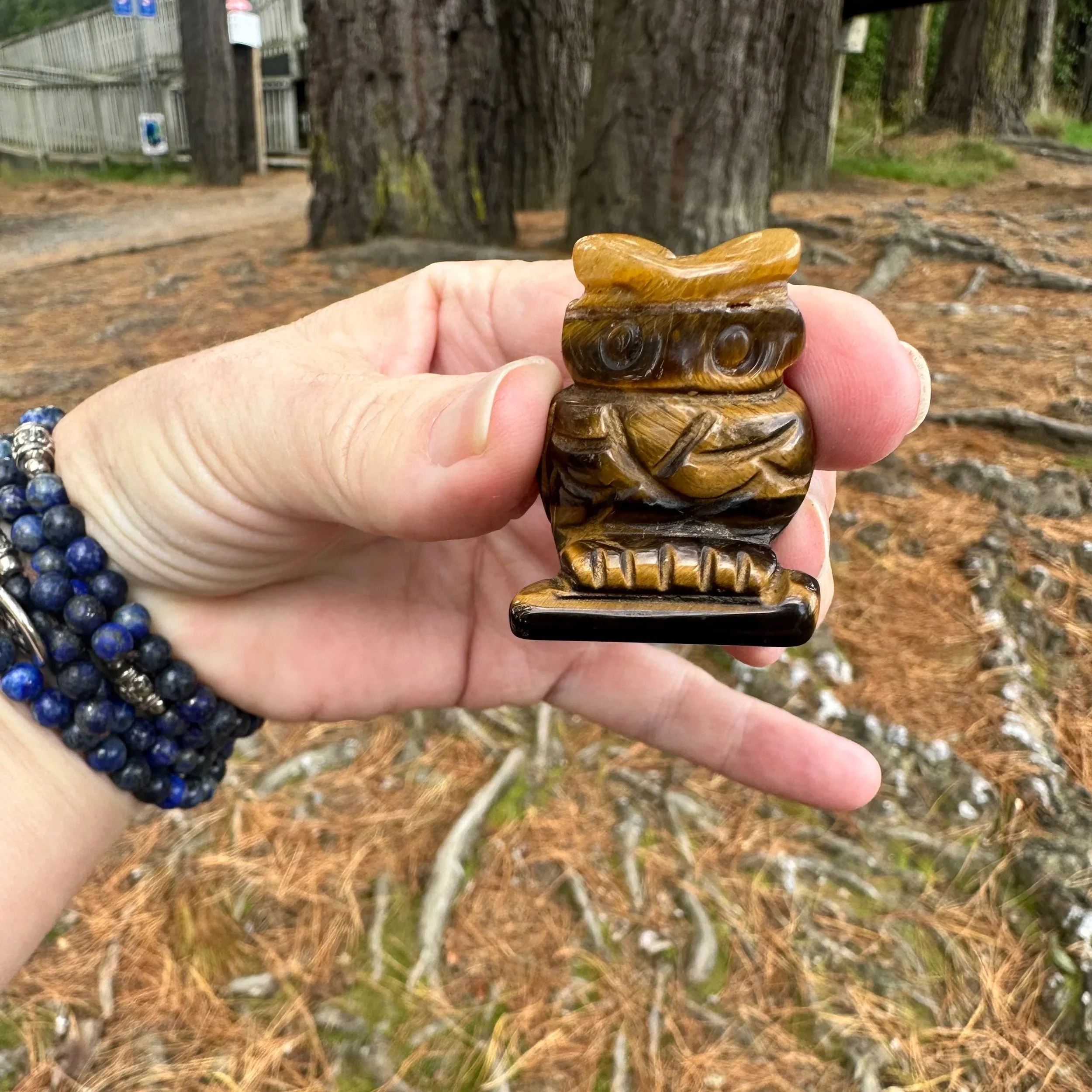 Tiger Eye - Wise Owl