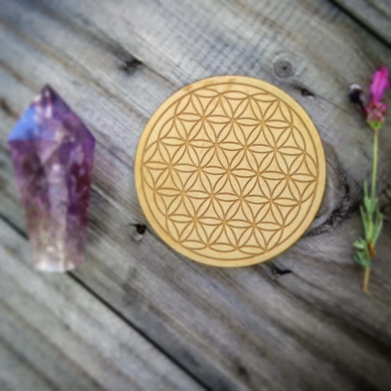 Flower of life Grid 