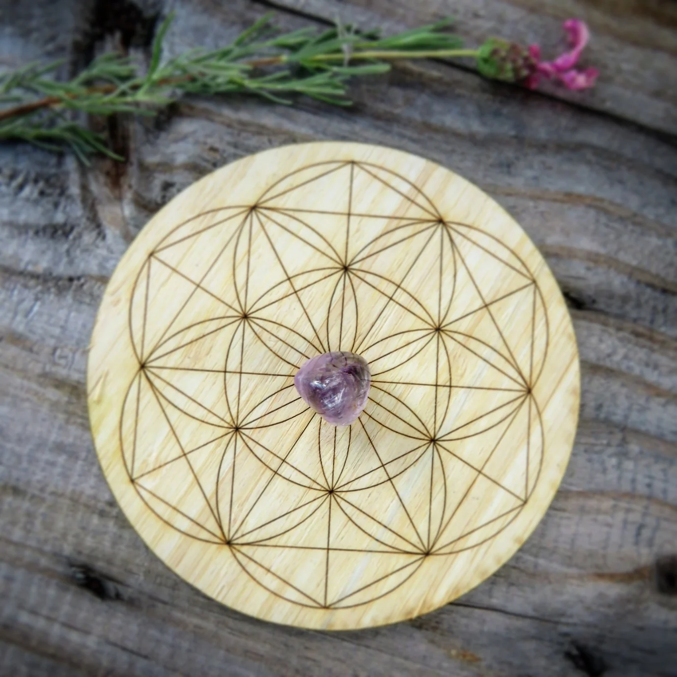 Medium sized grid (name to come 