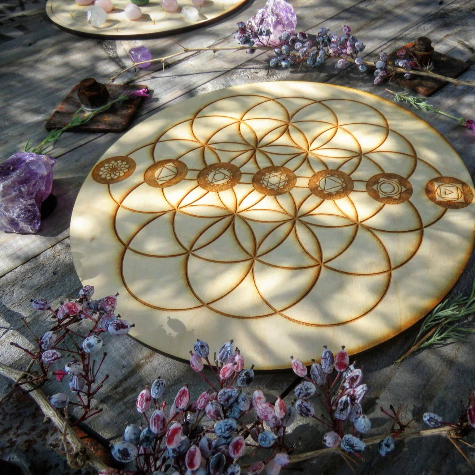 Seed of life with 7 Chakras Large Grid 