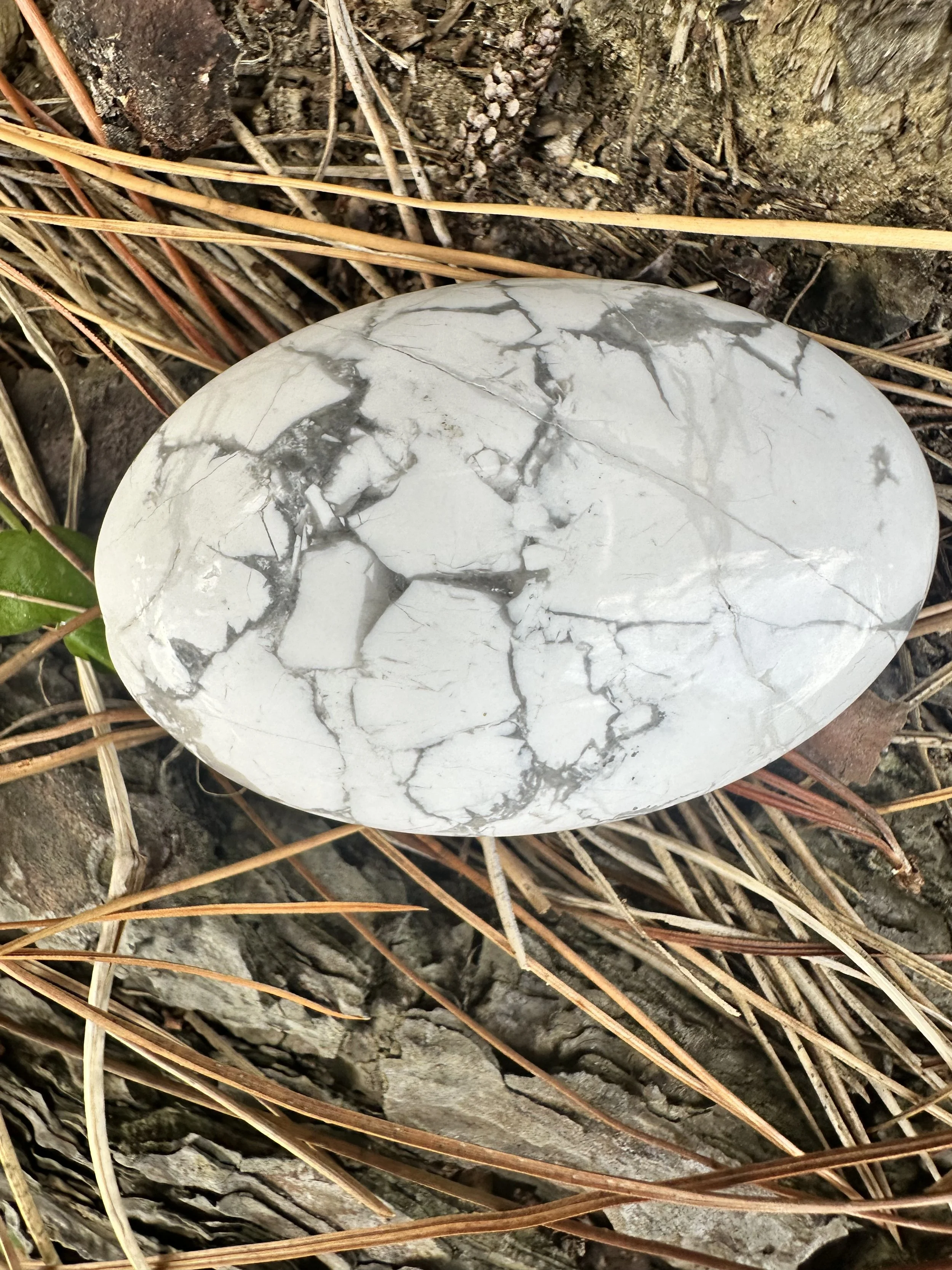 White Howlite - Oval