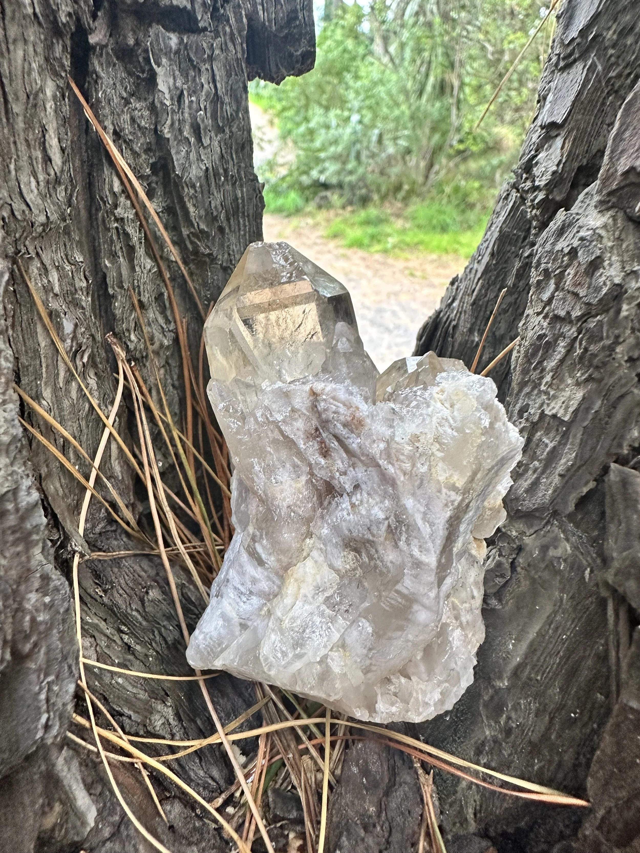 Natural Smoky Citrine Point