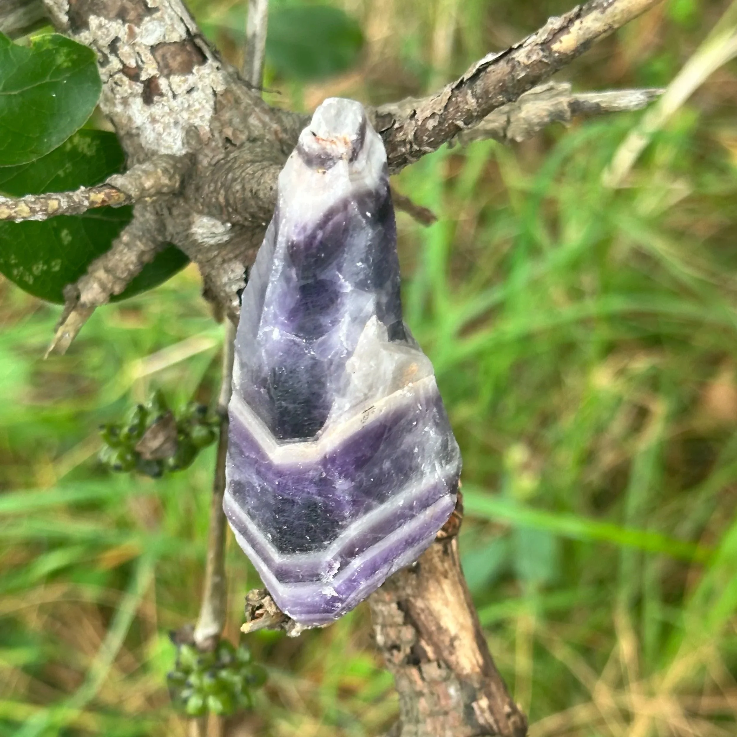 Chevron Amethyst - Rough
