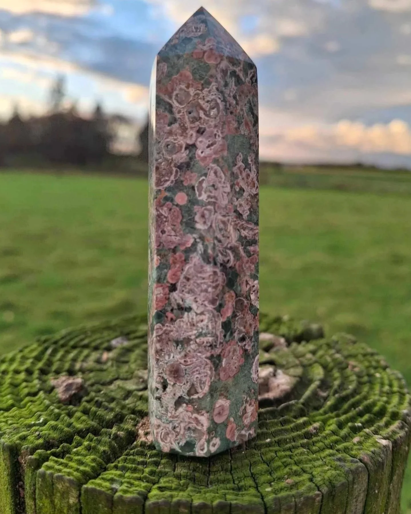 Rhyolite%2BFlower%2Bpoint.jpg