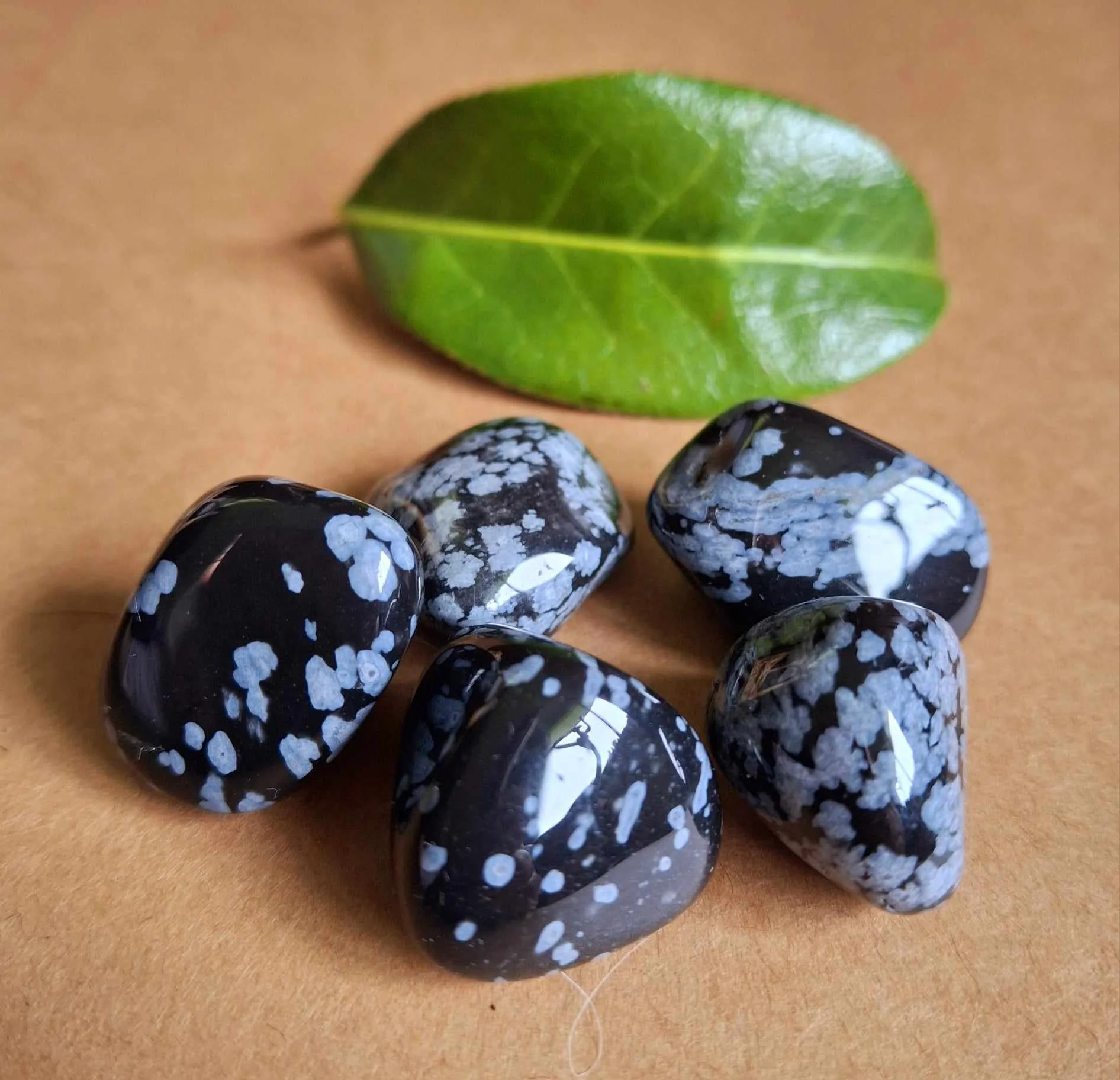 snowflake obsidian 3.jpg