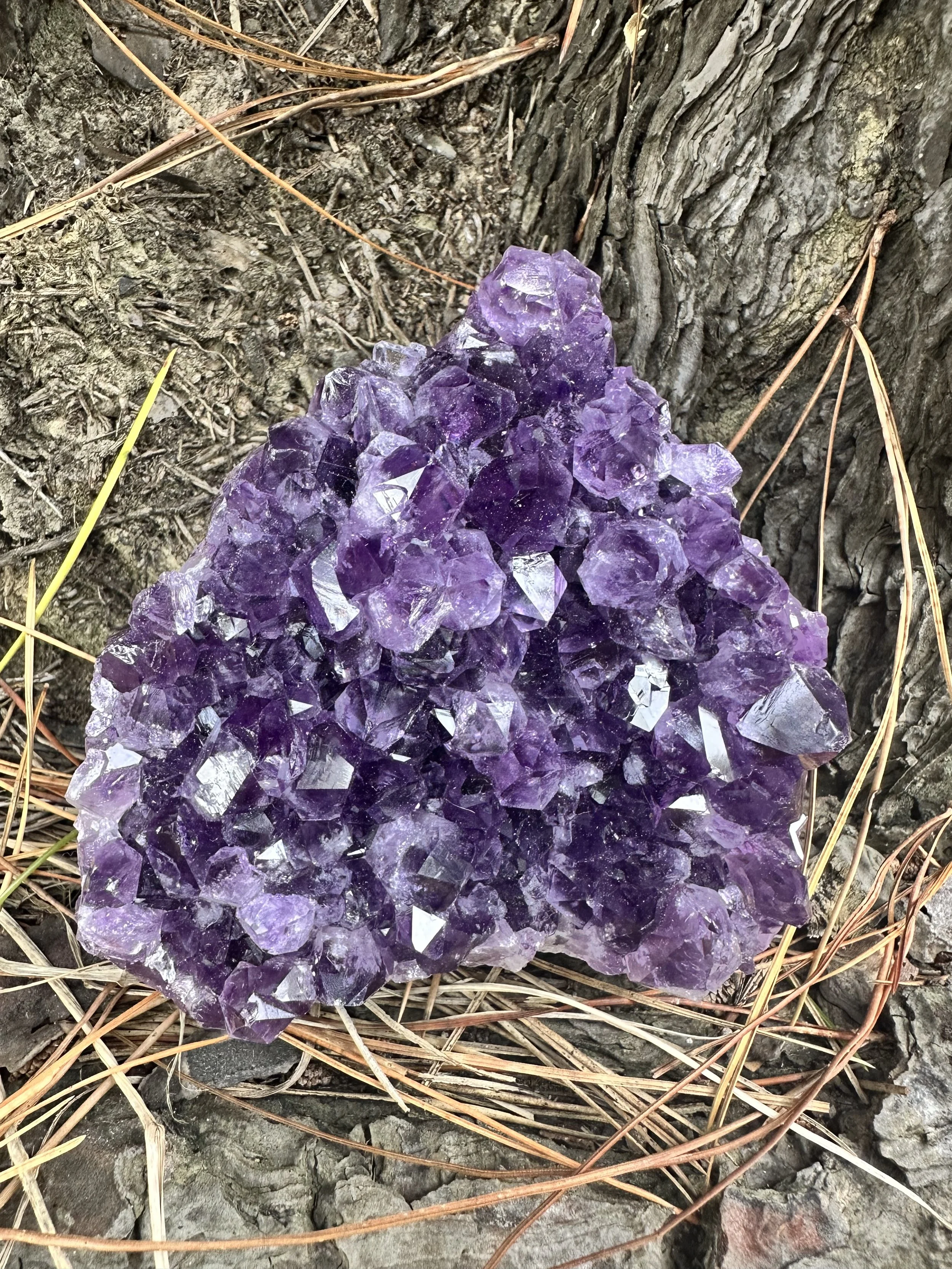 Amethyst Cluster