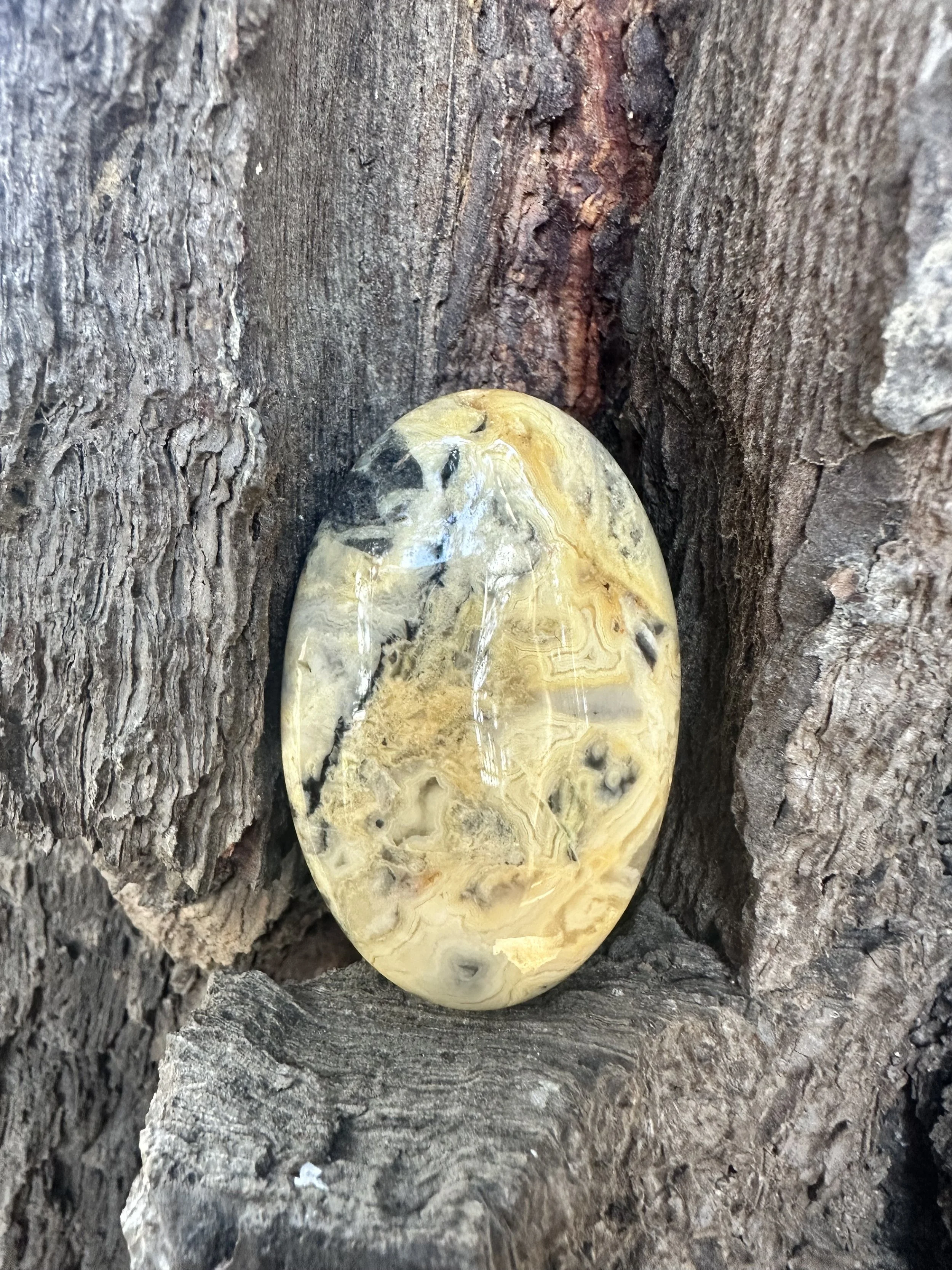 Crazy Lace Agate - Palmstone