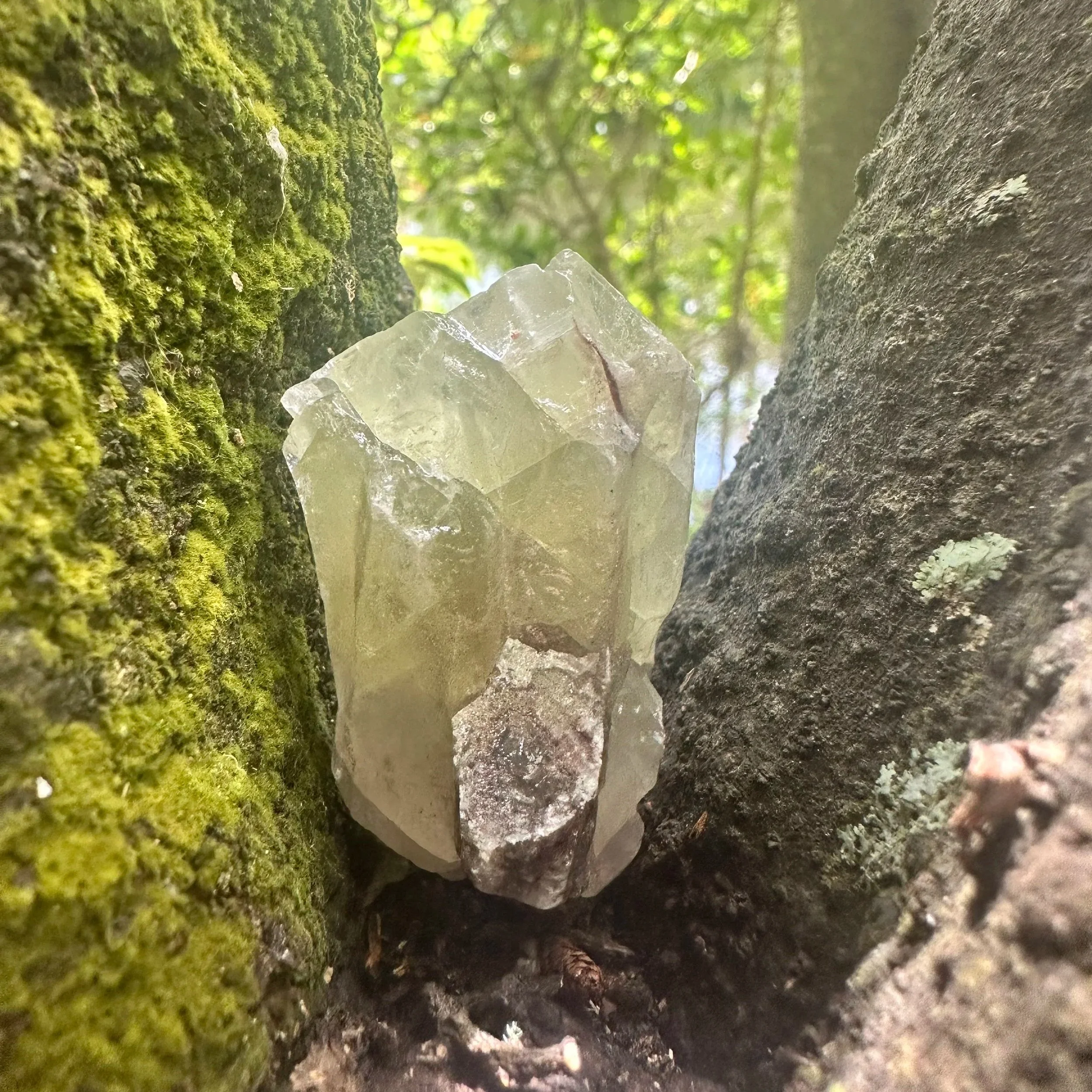 Green Calcite - Rough