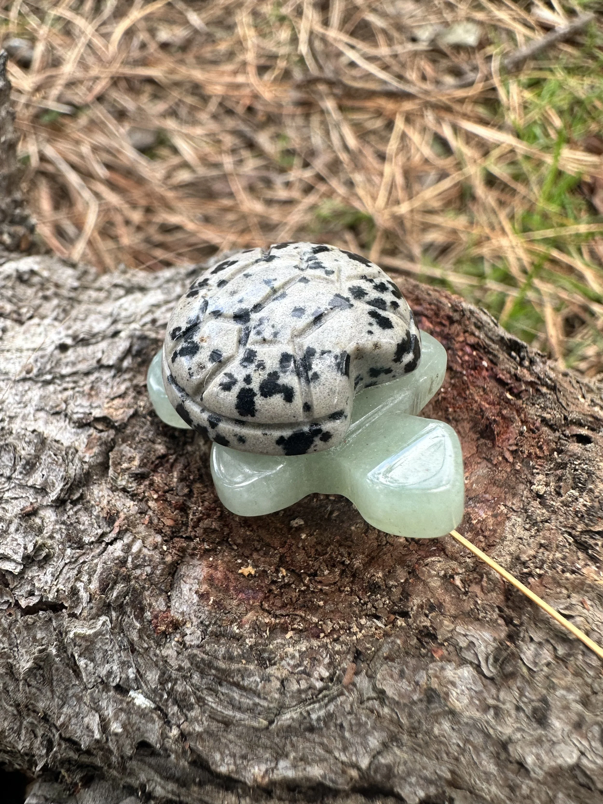 Green Aventurine and Dalmatian Jasper Turtle