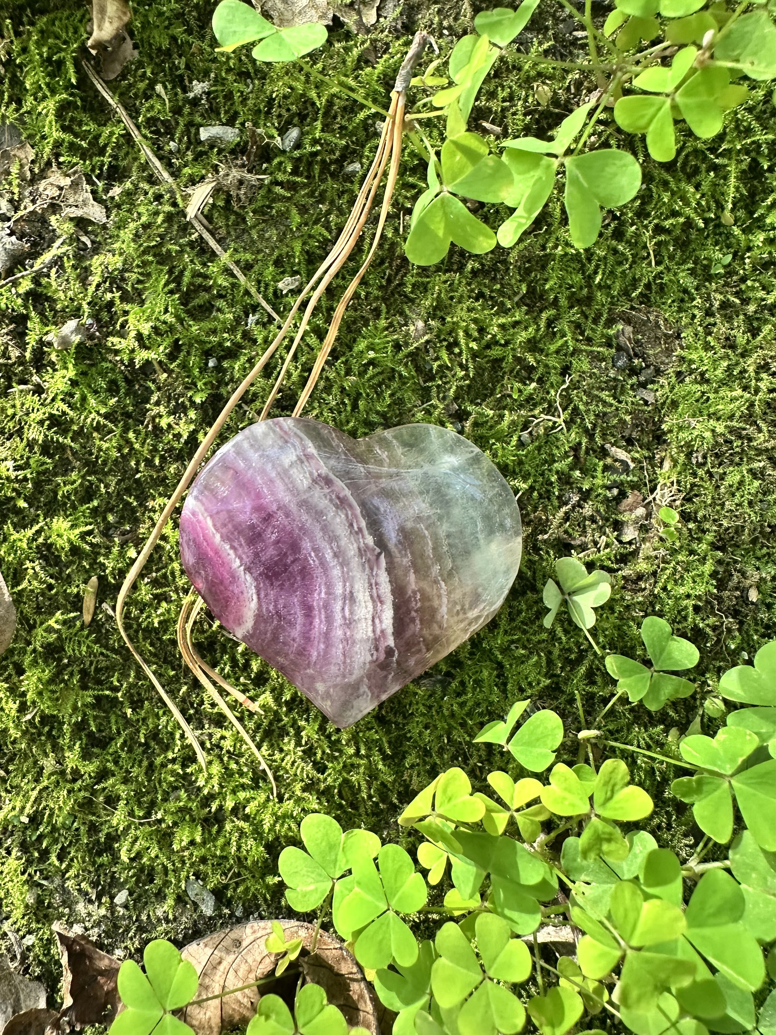 IMG_2167.jpeg