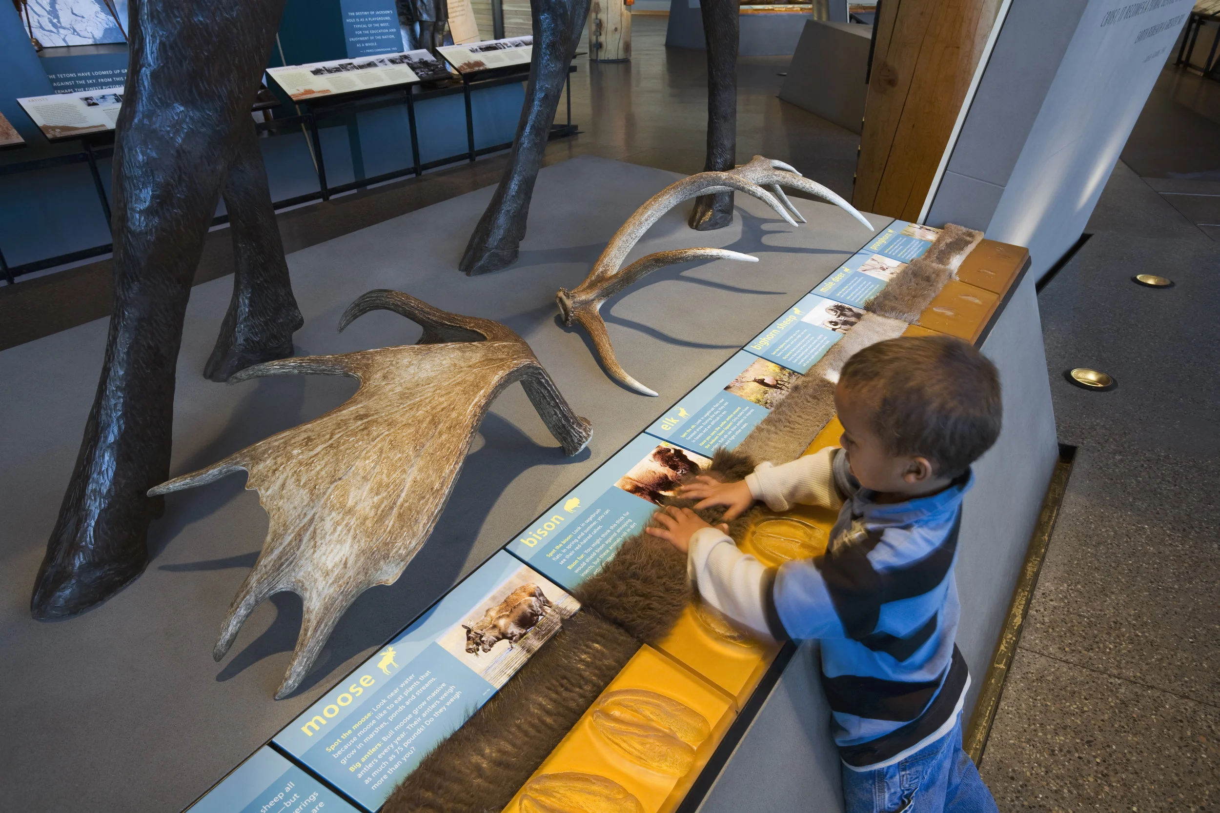 2007M43.480 copy.jpg