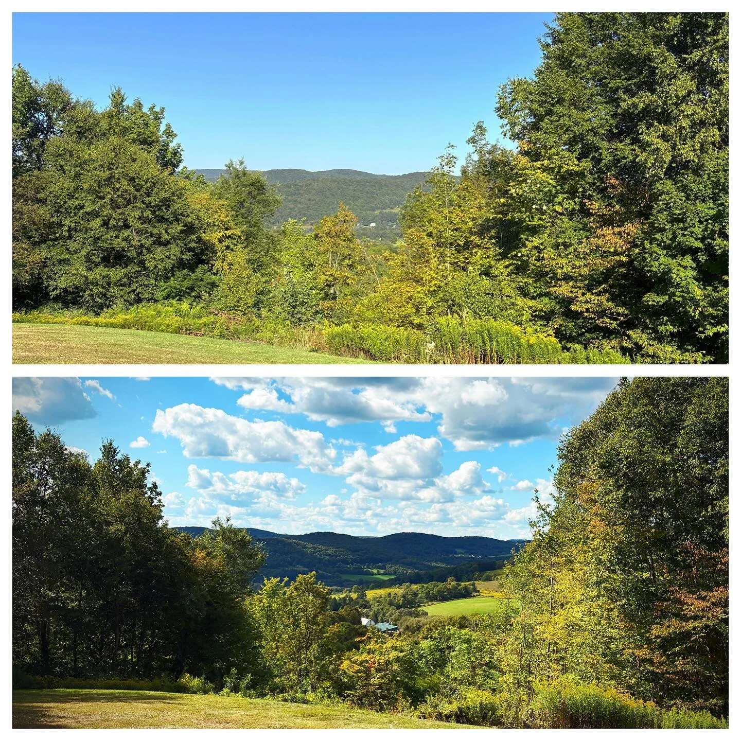 Thank you Sexy Lumberjack magazine for choosing this before / after as a top contender for Catskills view enhancement of 2025!

#blessed #grateful #In your face!