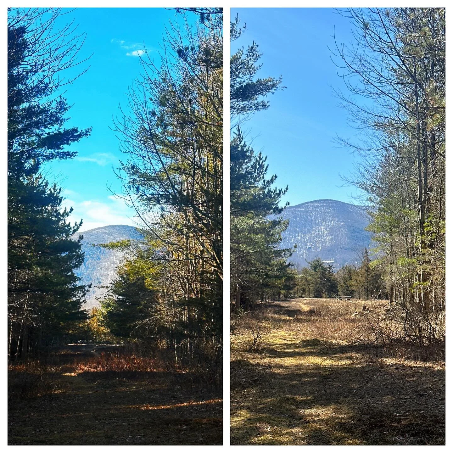 Authorities are on high alert after a string of well executed tree removals expanded a view so spectacular, it borders on criminal.

Officials warn this is phase 1 and the perpetrators should be considered knowledgeable and well armed.