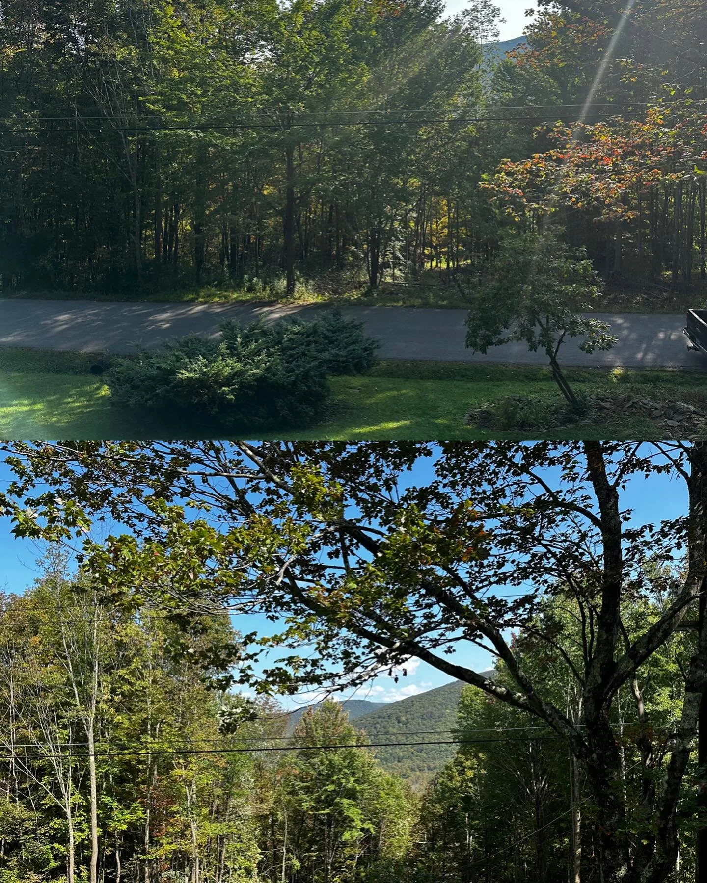 Thank you Sexy Catskills Lumberjack magazine for voting us the #1 provider of view reclaim services in the Great Western Catskills! 

Honored and humbled by this distinction. 7 years running! Amazing!
