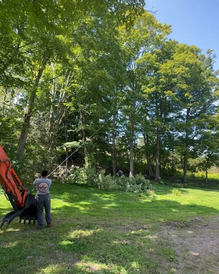 Where did August go?! Happy Labor Day weekend!

Hope everyone had a decent summer.

#catskills #treeservice #processart